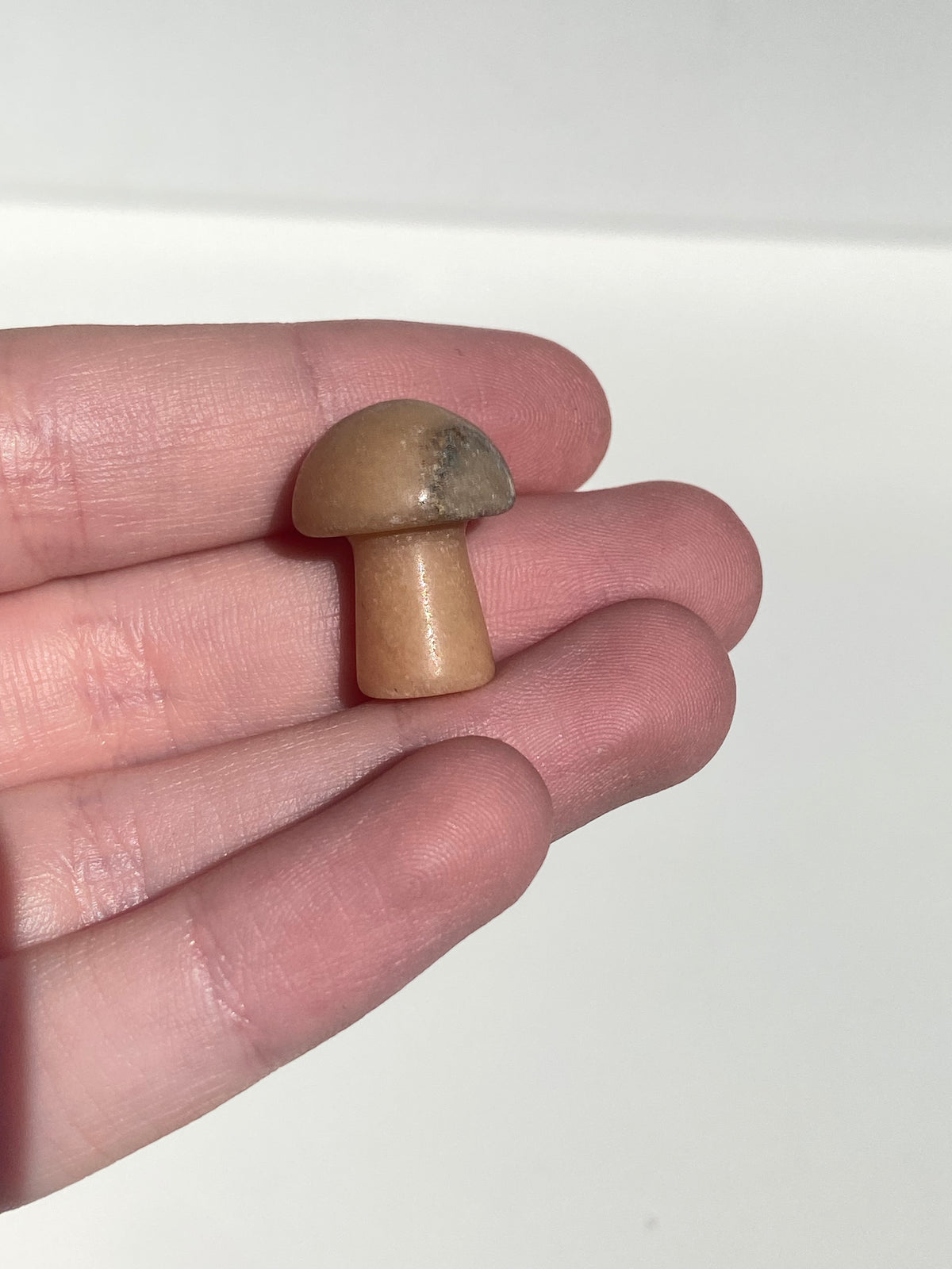Mini Mushroom