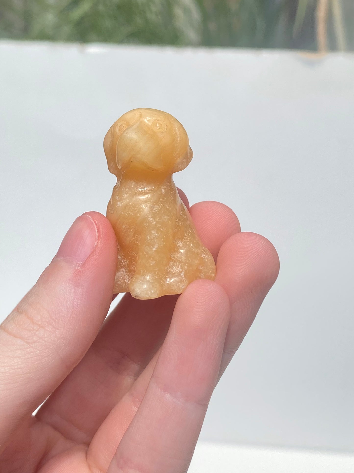 Crystal Dog