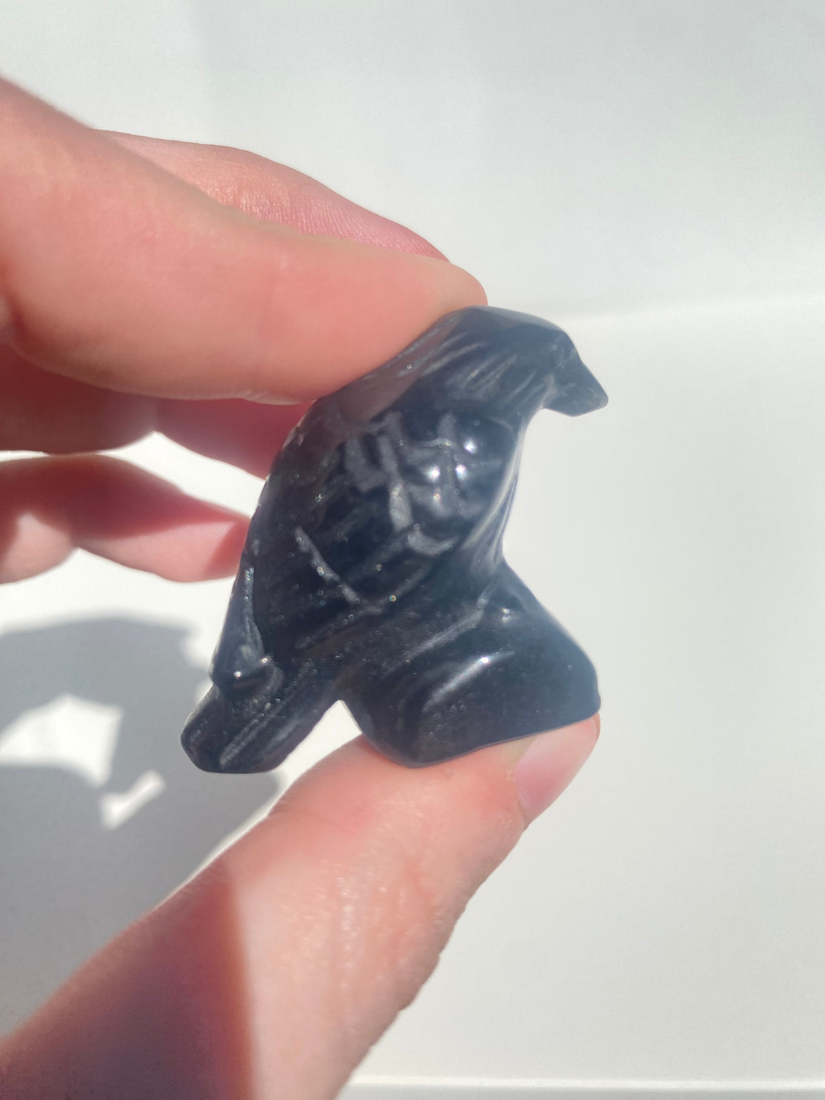 Obsidian Raven
