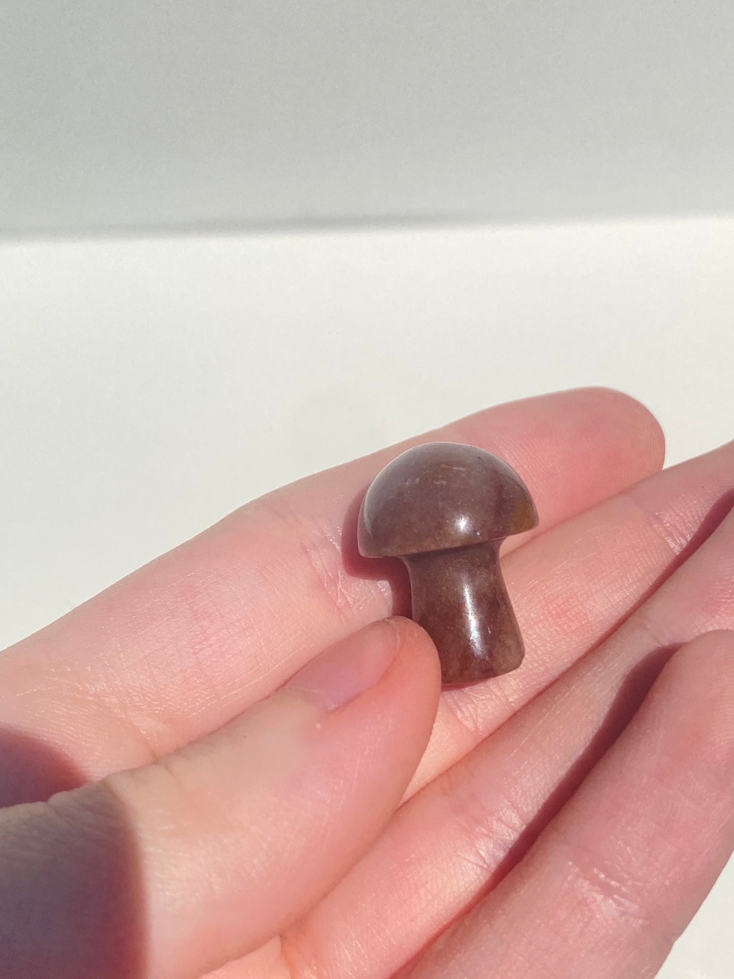 Mini Mushroom