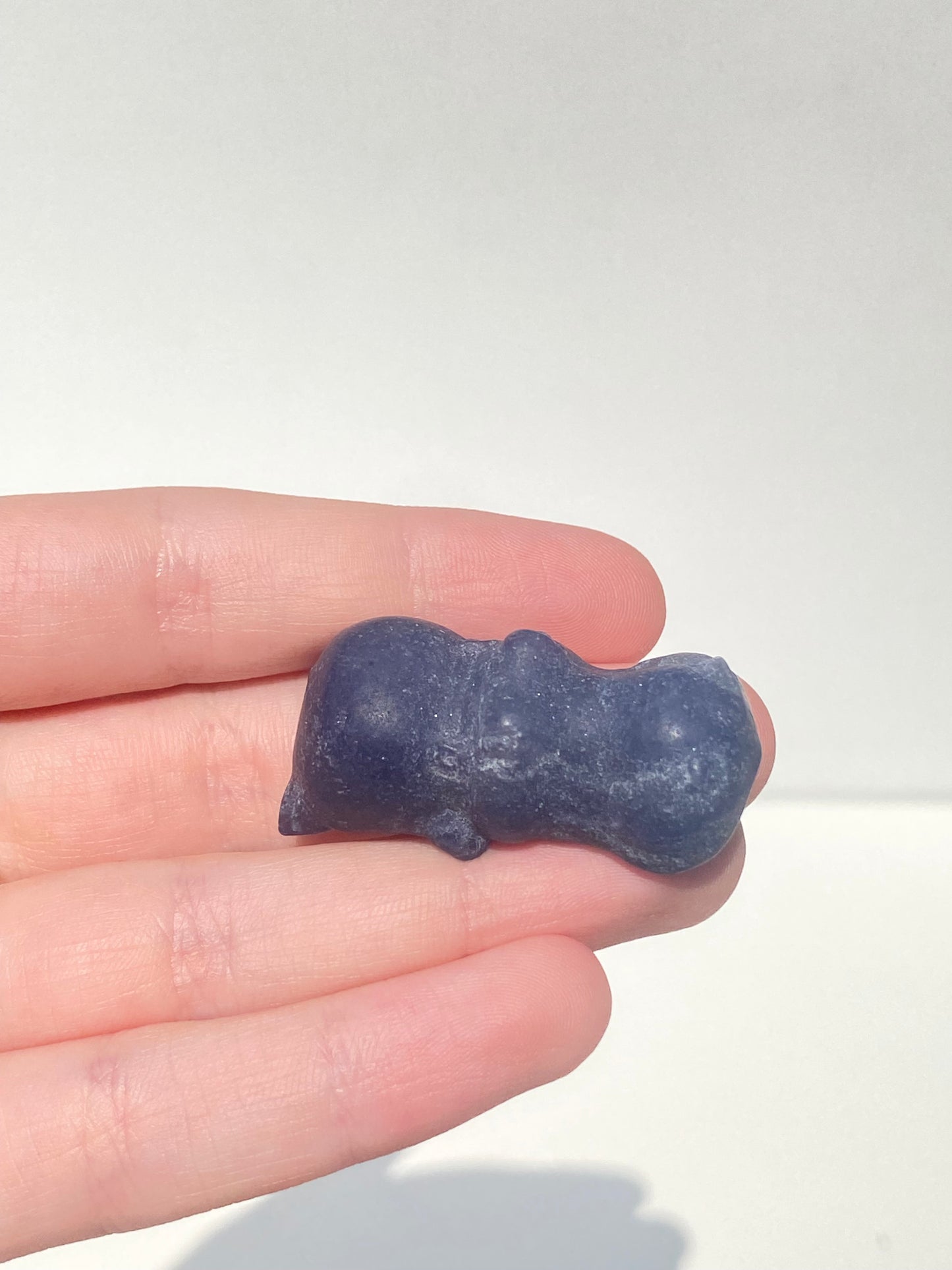 Mini House Hippo