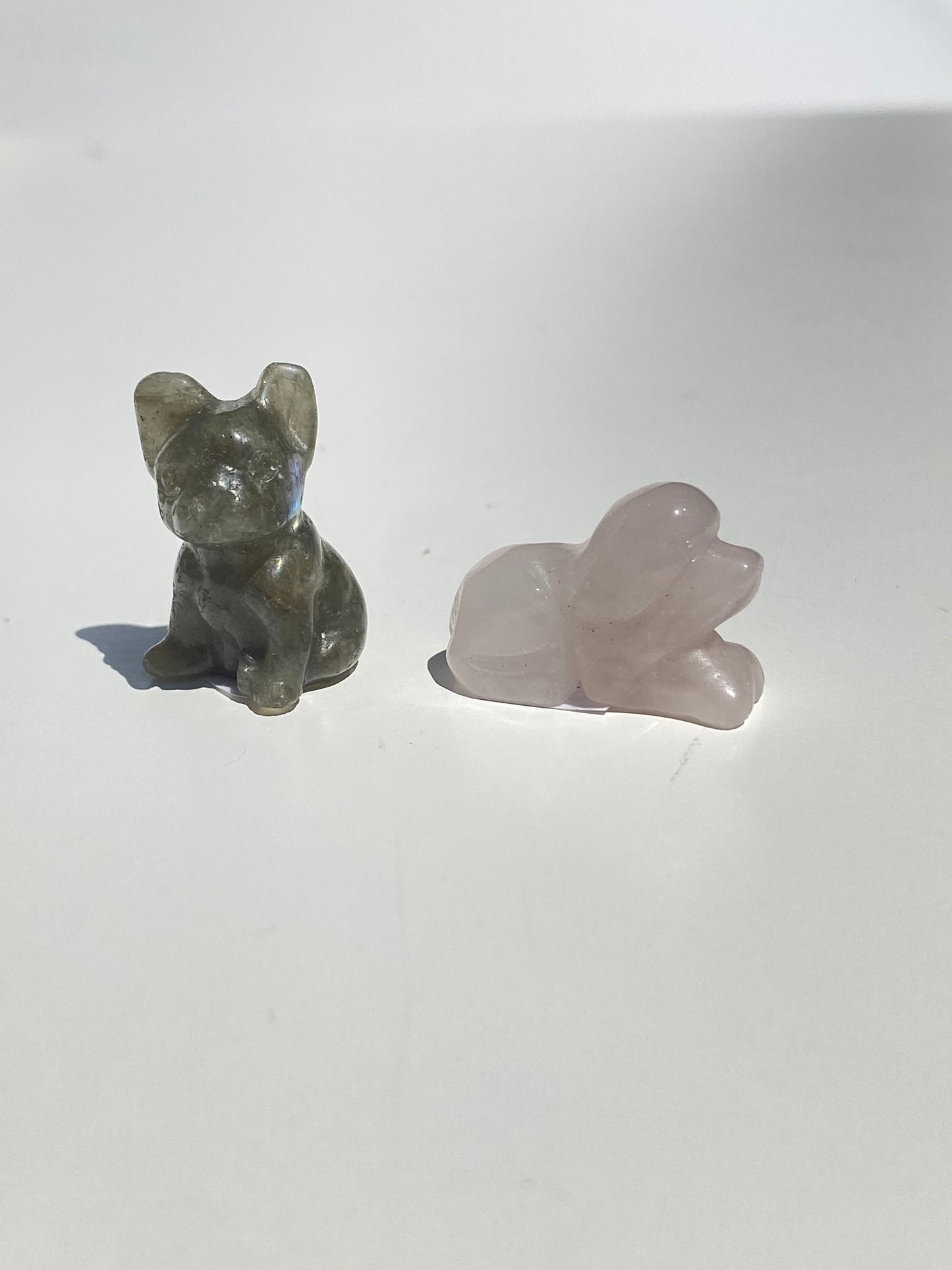 Micro Mini Dog