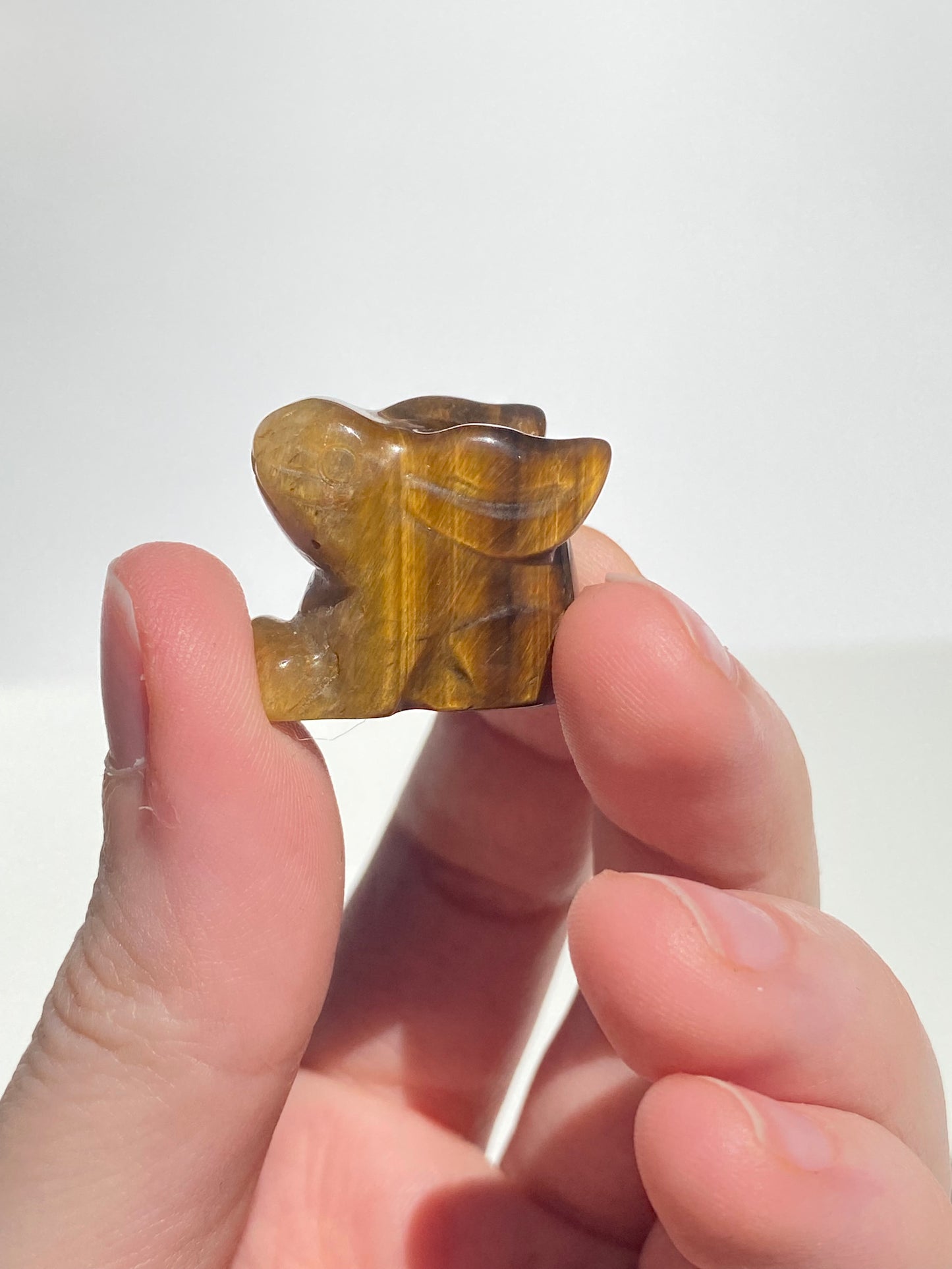 Micro Mini Bunny