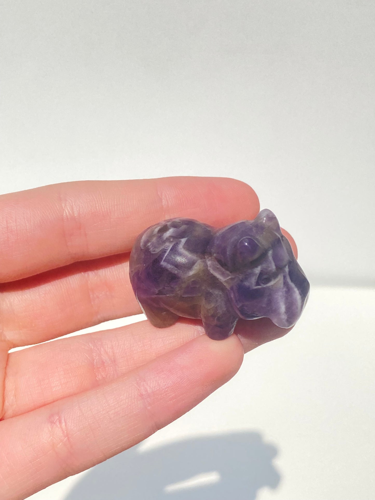 Mini House Hippo