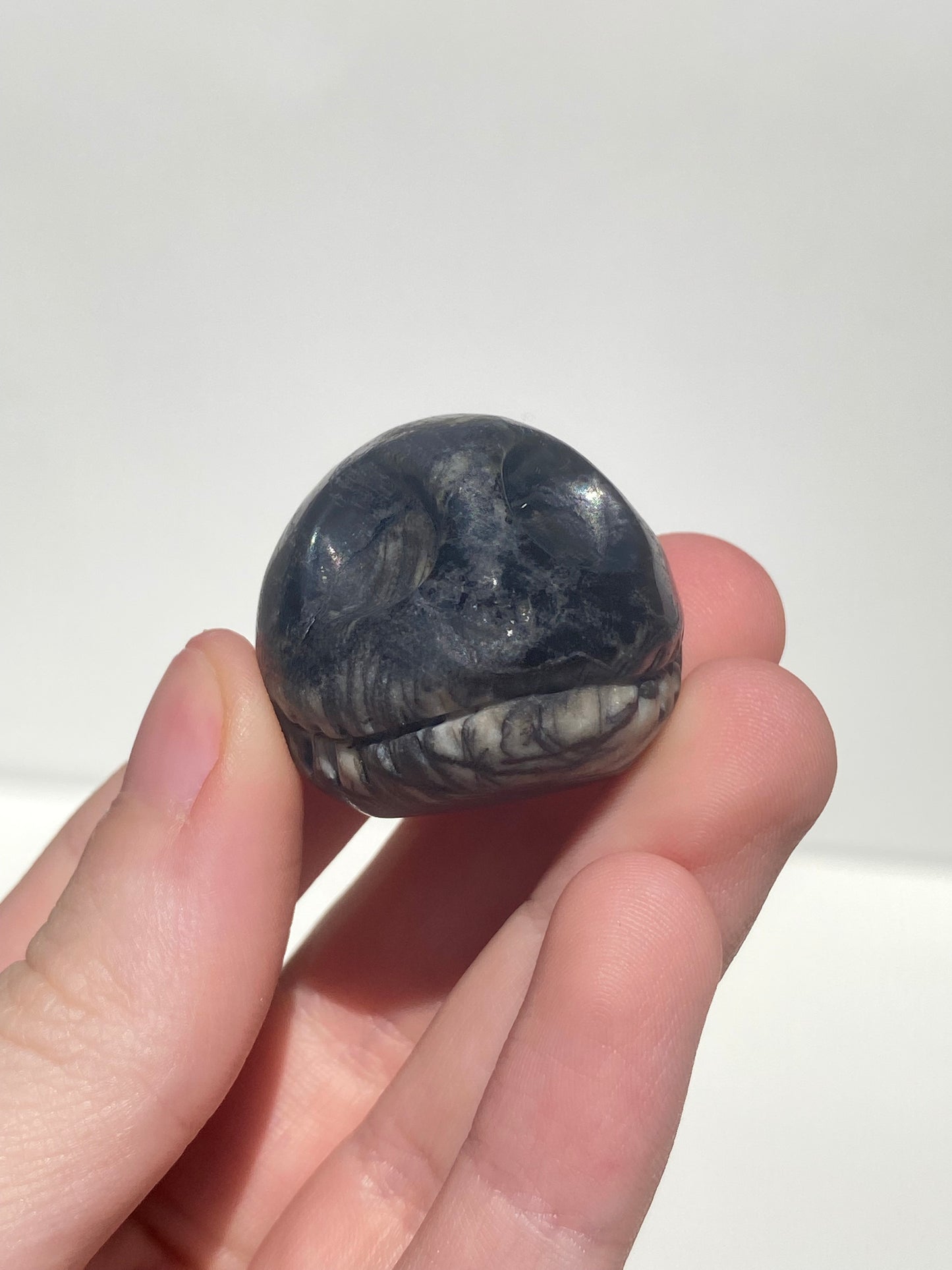 Spider Jasper Jack