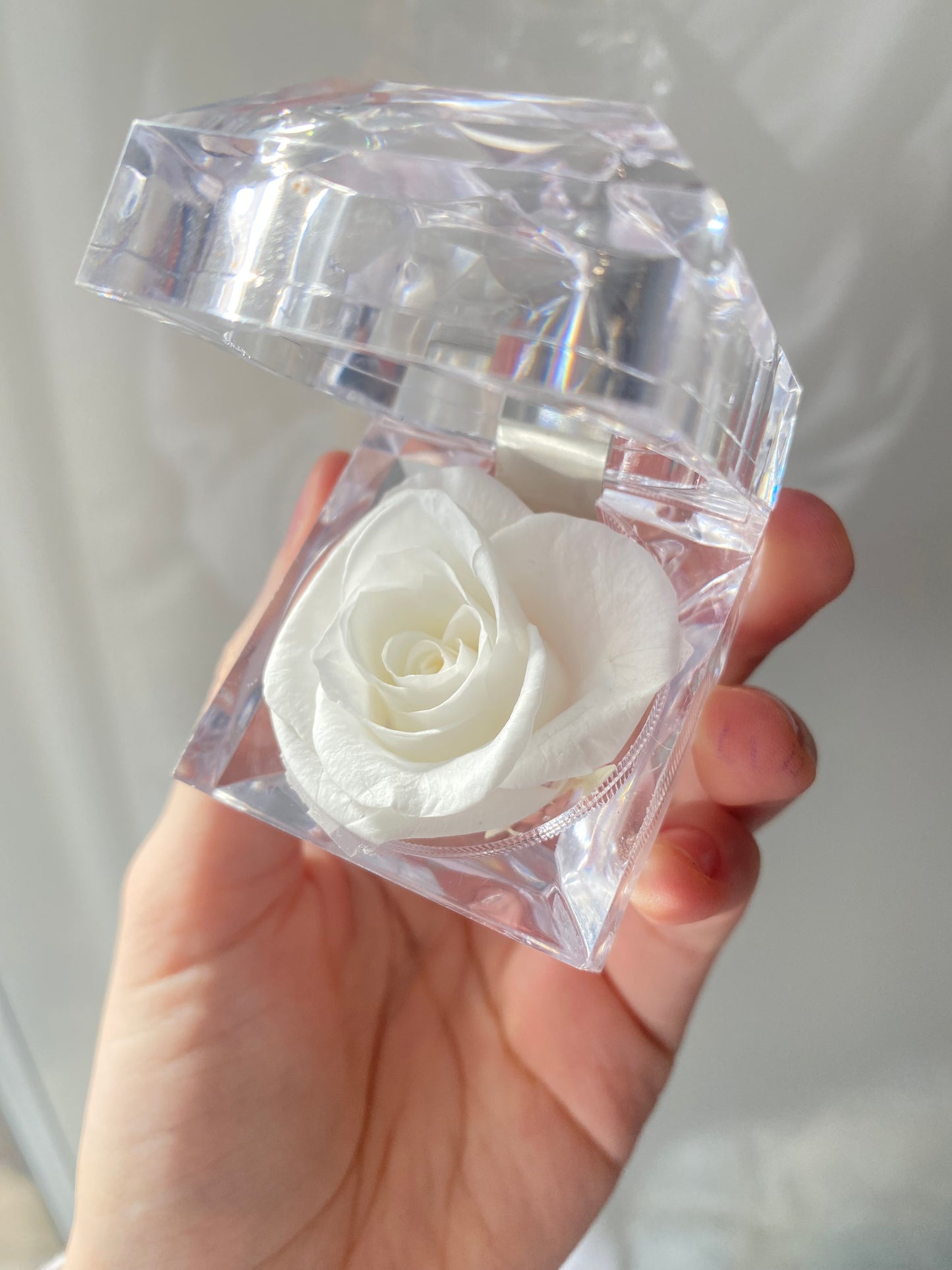 Forever Lasting Rose