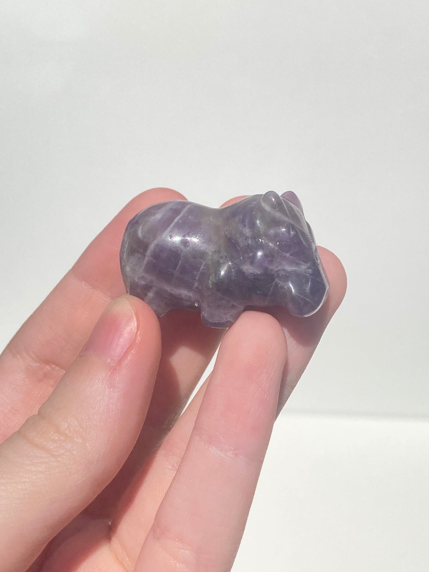 Mini House Hippo