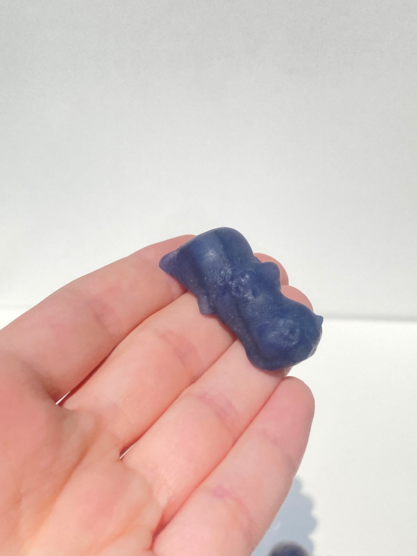 Mini House Hippo