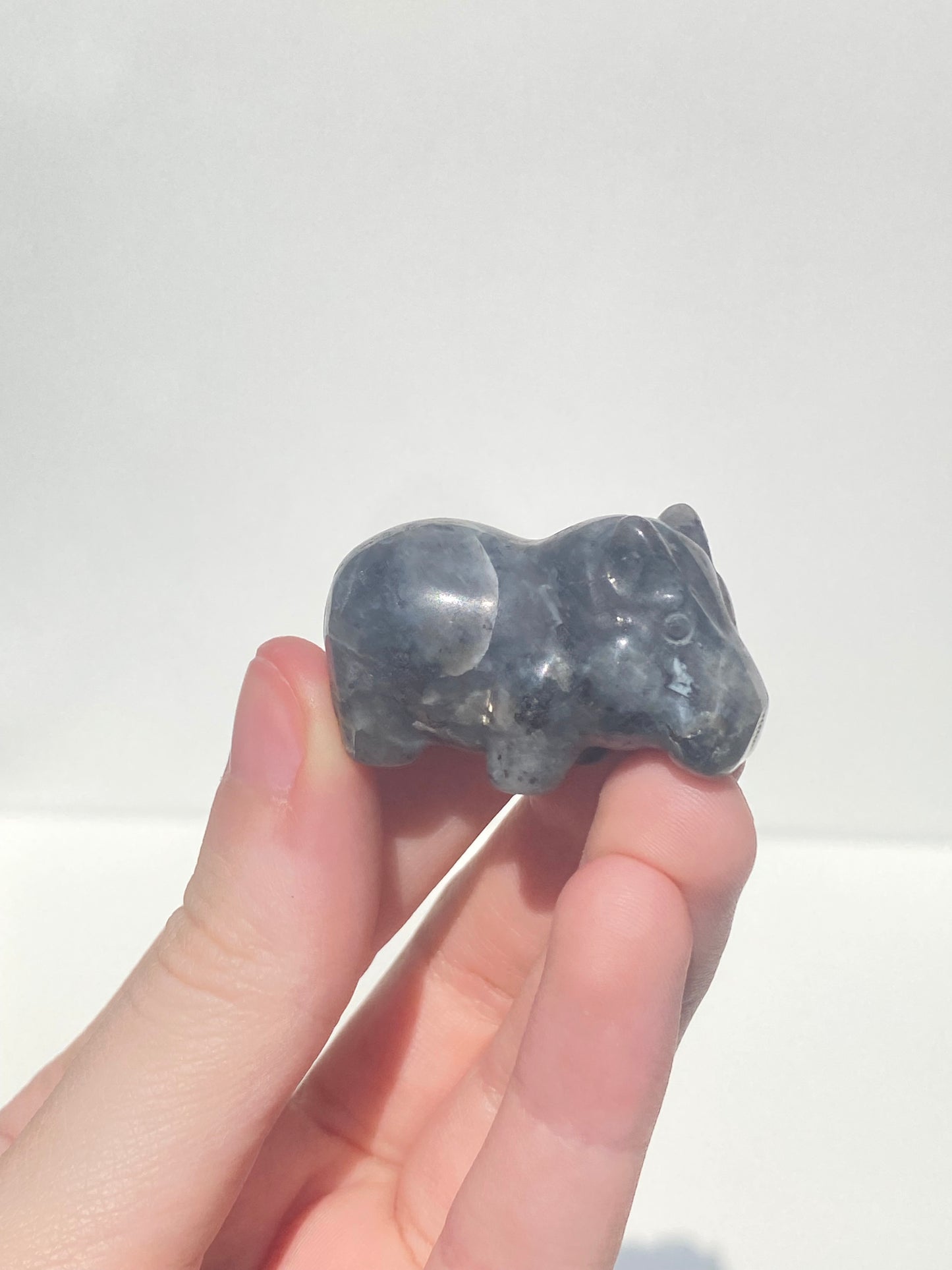 Mini House Hippo