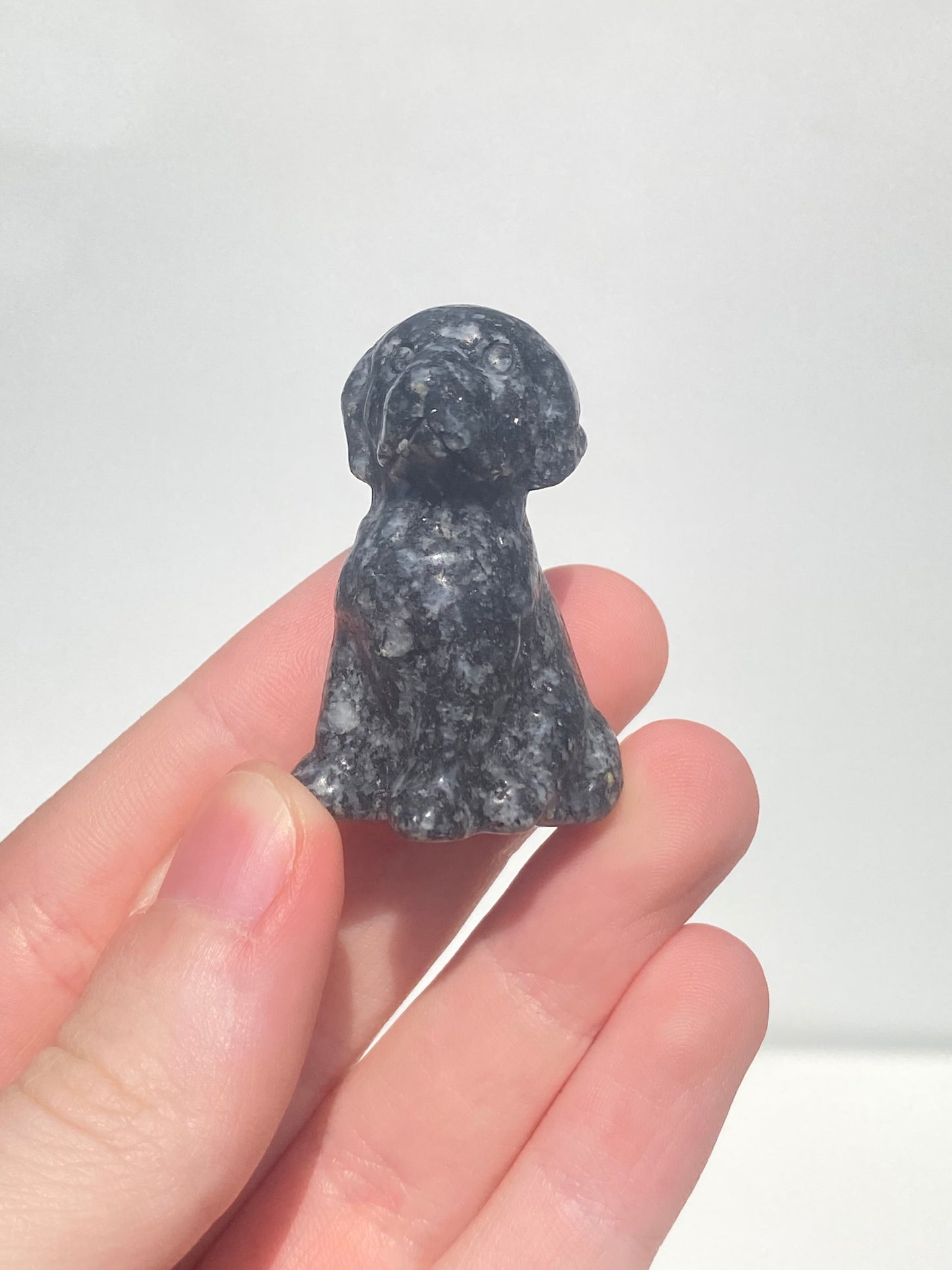 Crystal Dog