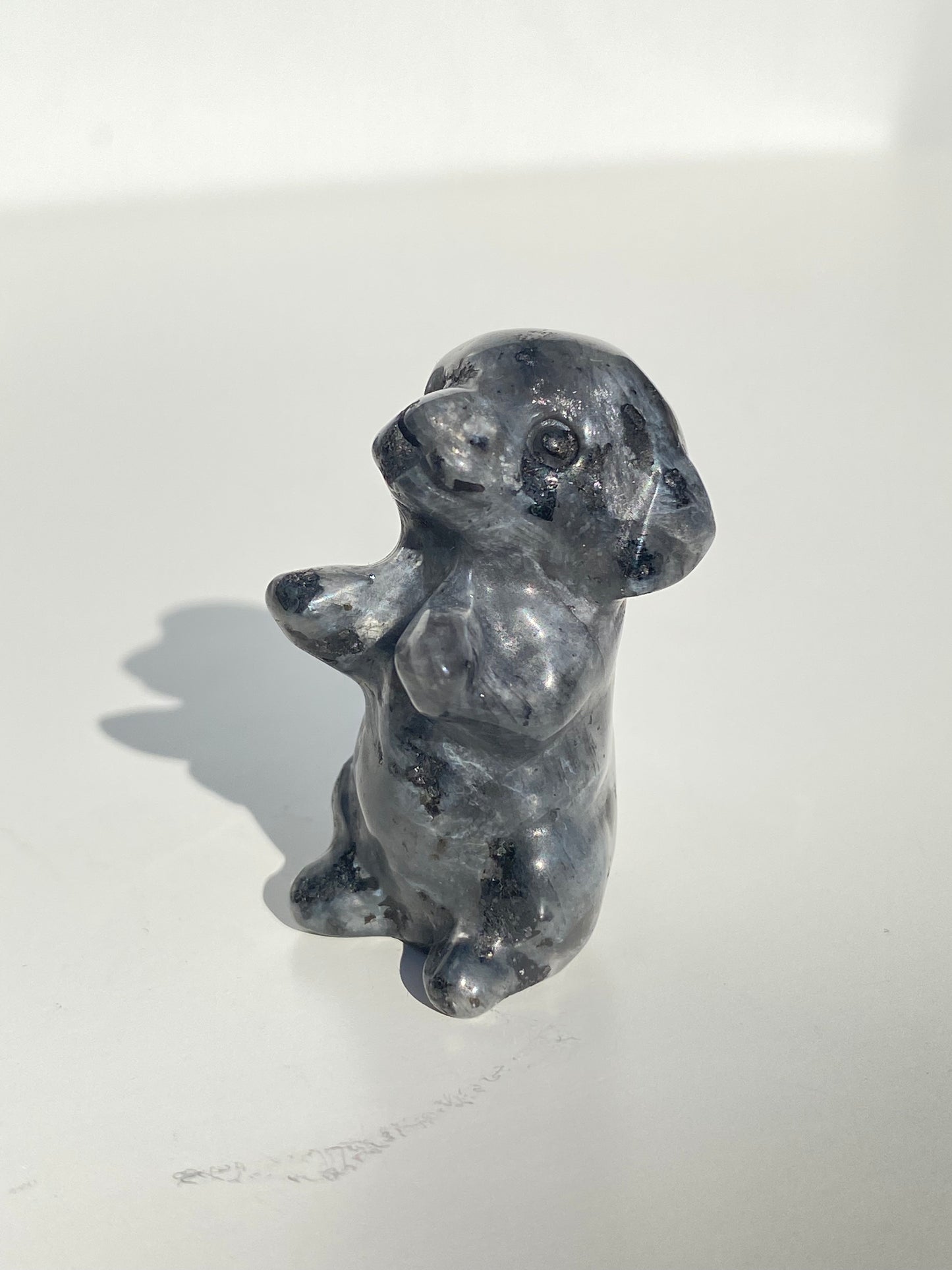 Larvikite Excited Dog