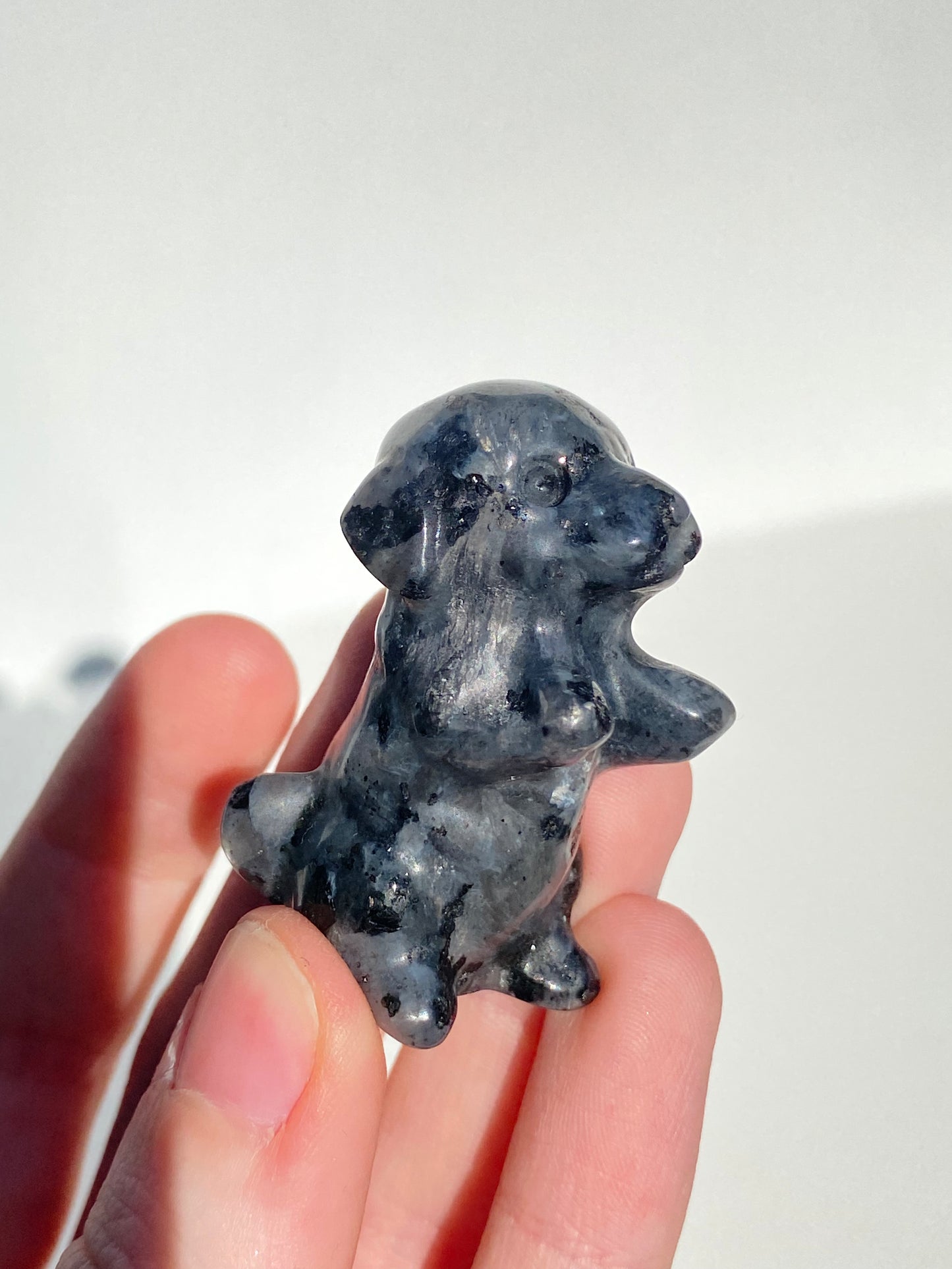 Larvikite Excited Dog
