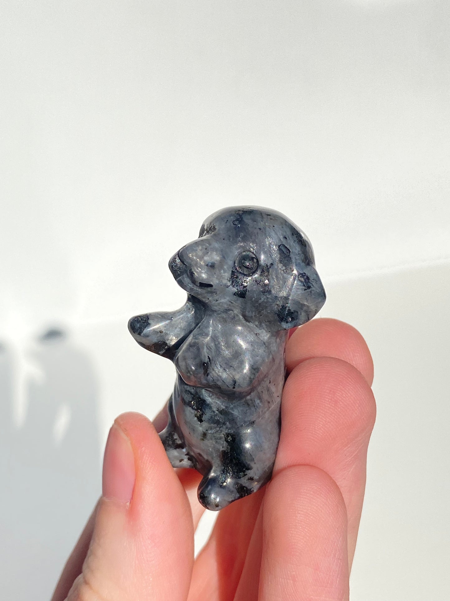 Larvikite Excited Dog