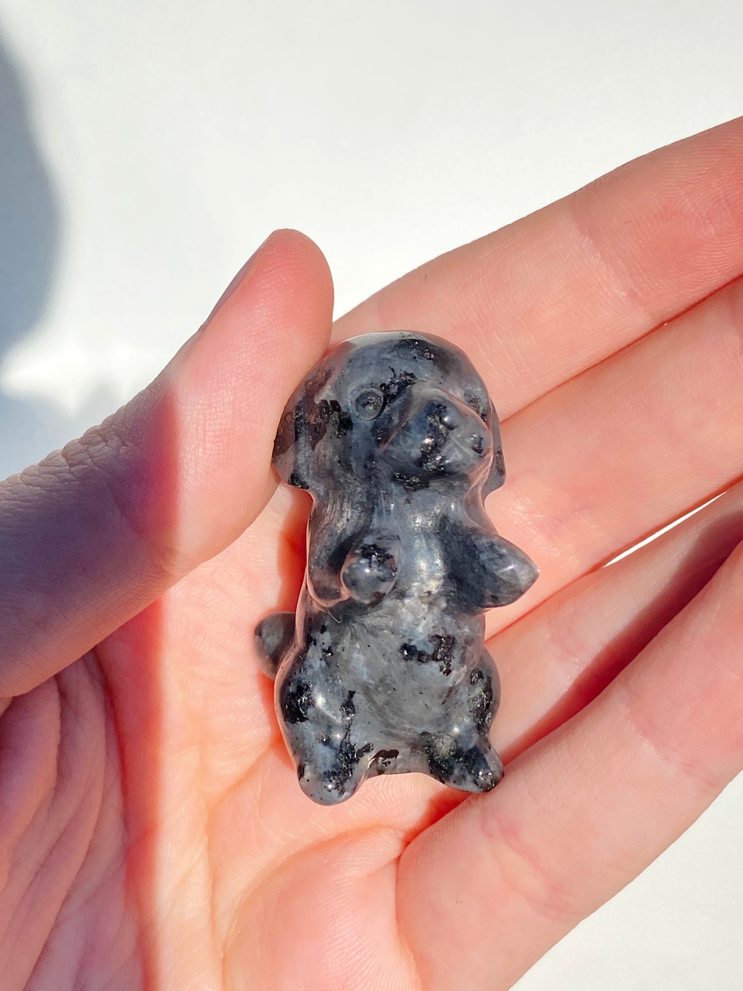 Larvikite Excited Dog