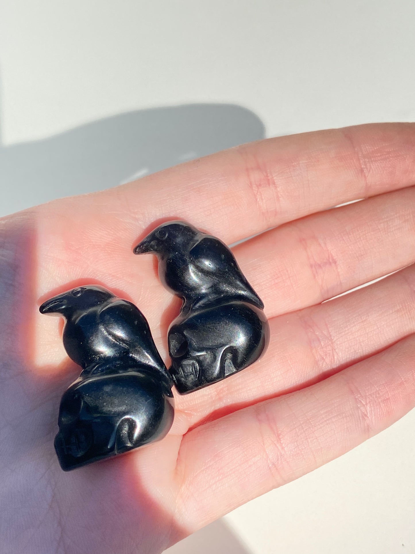 Obsidian Raven Skull