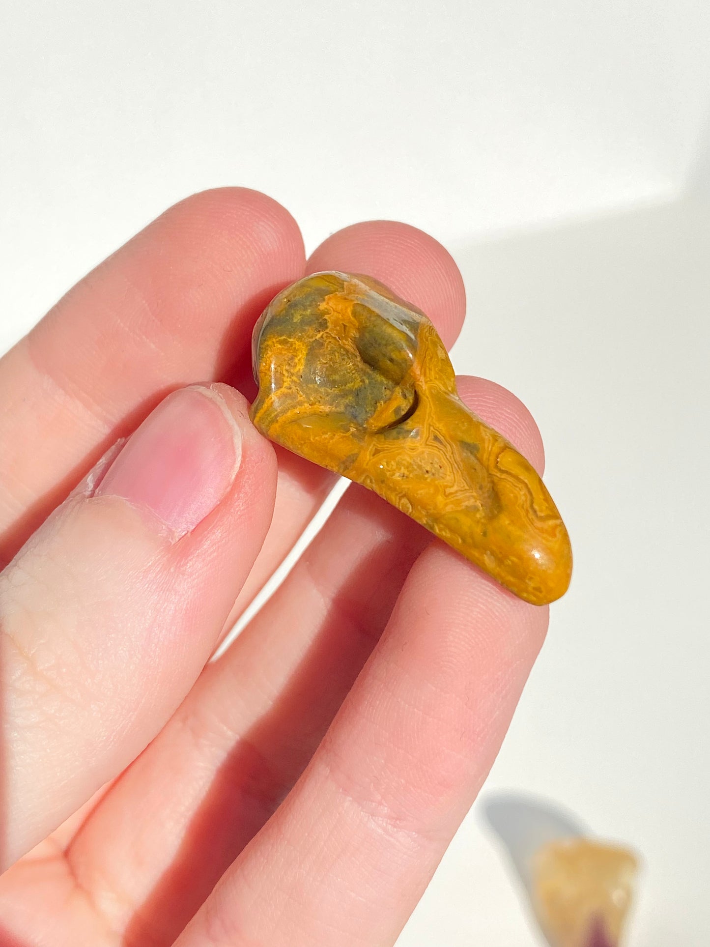 Mini Raven Skull