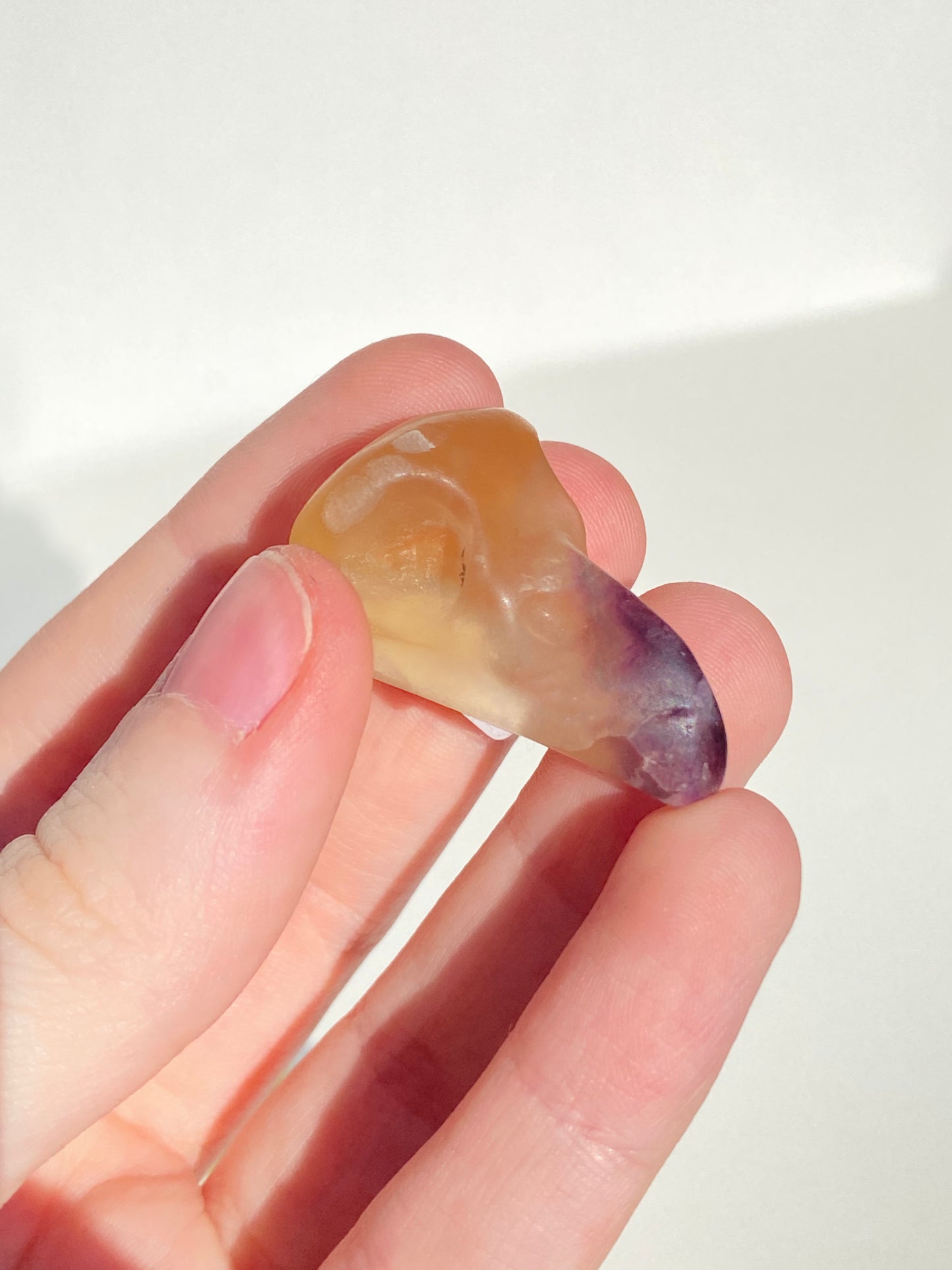 Mini Raven Skull