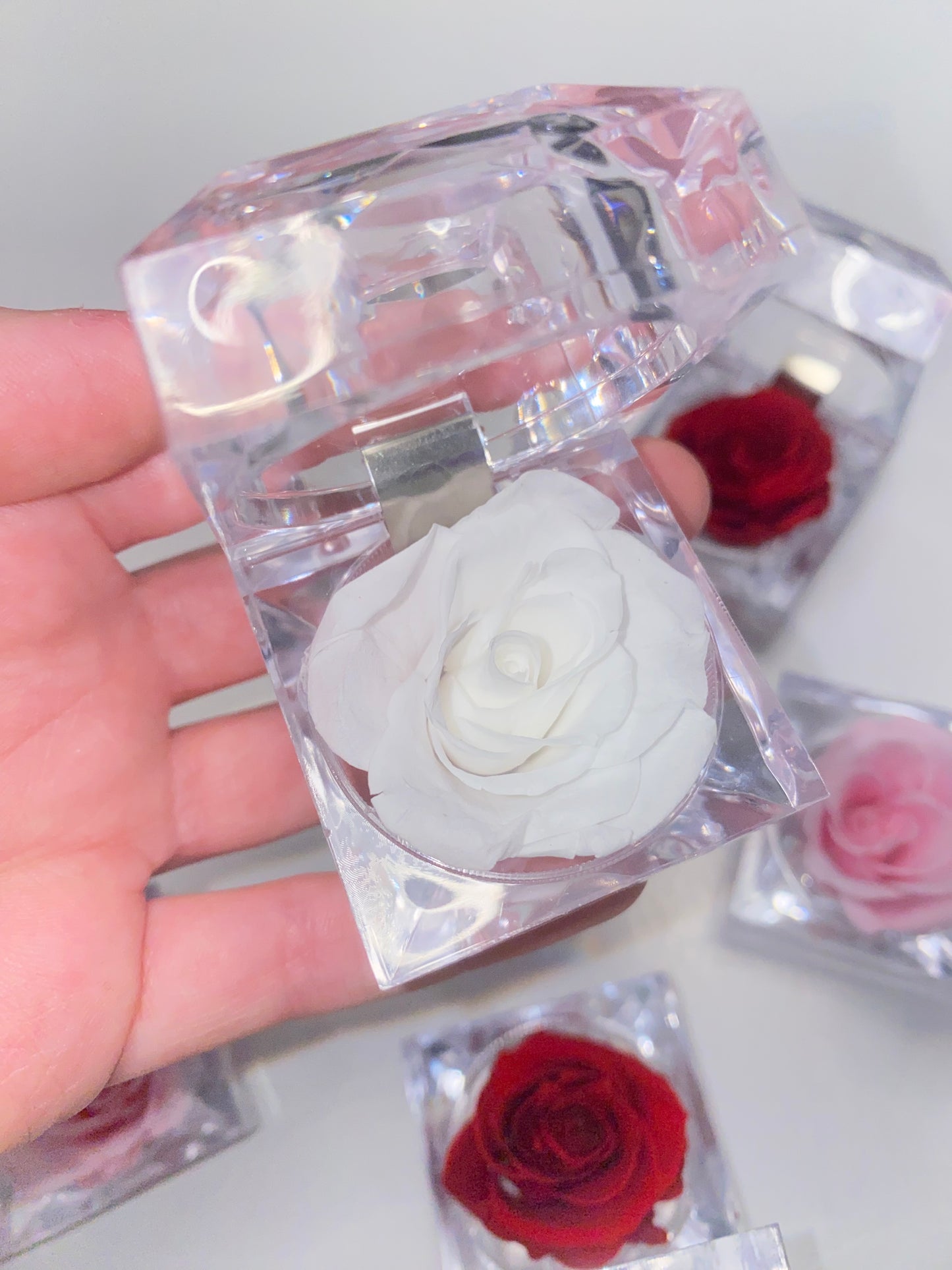 Forever Lasting Rose