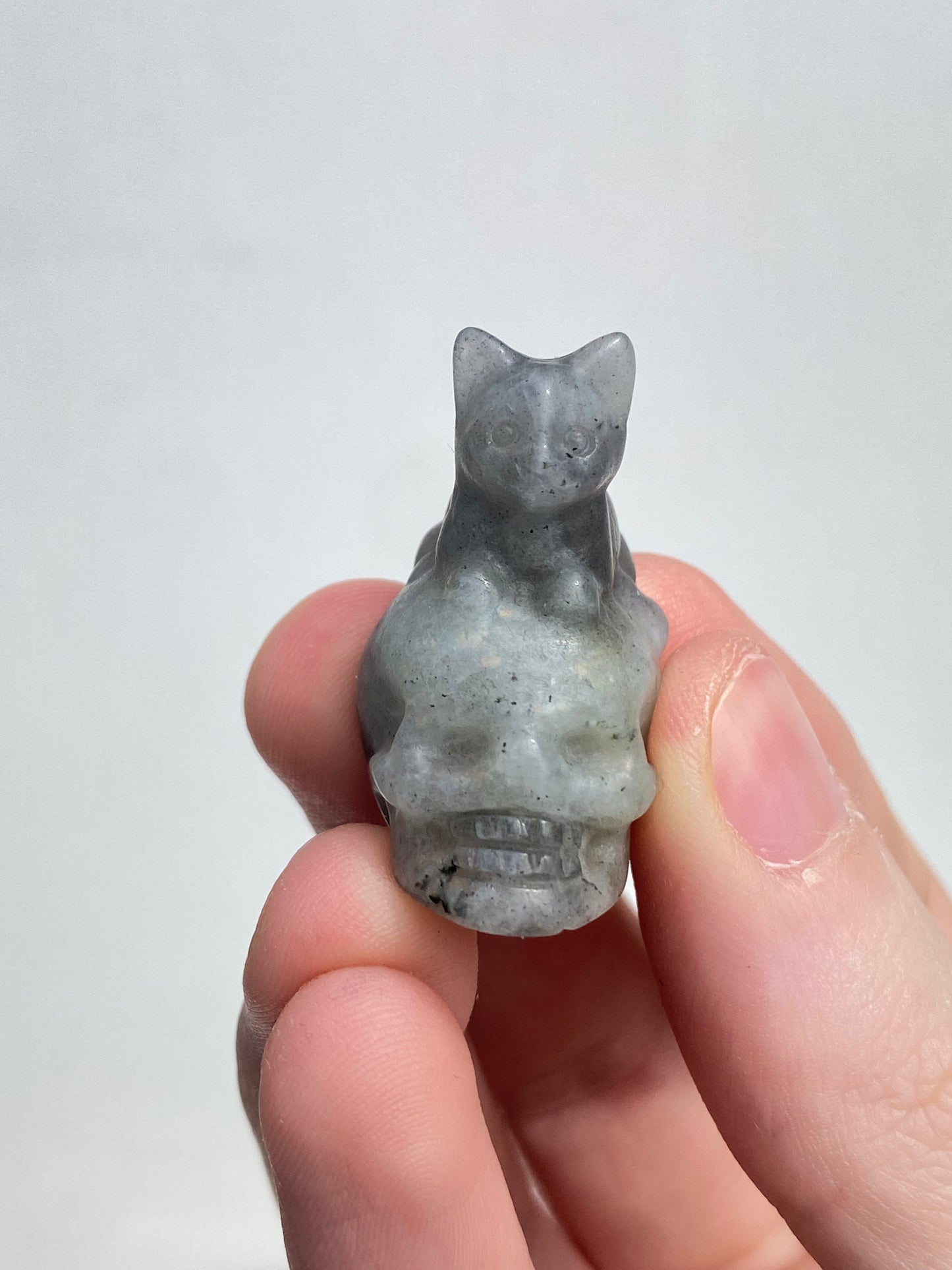 Labradorite Kitty Skull