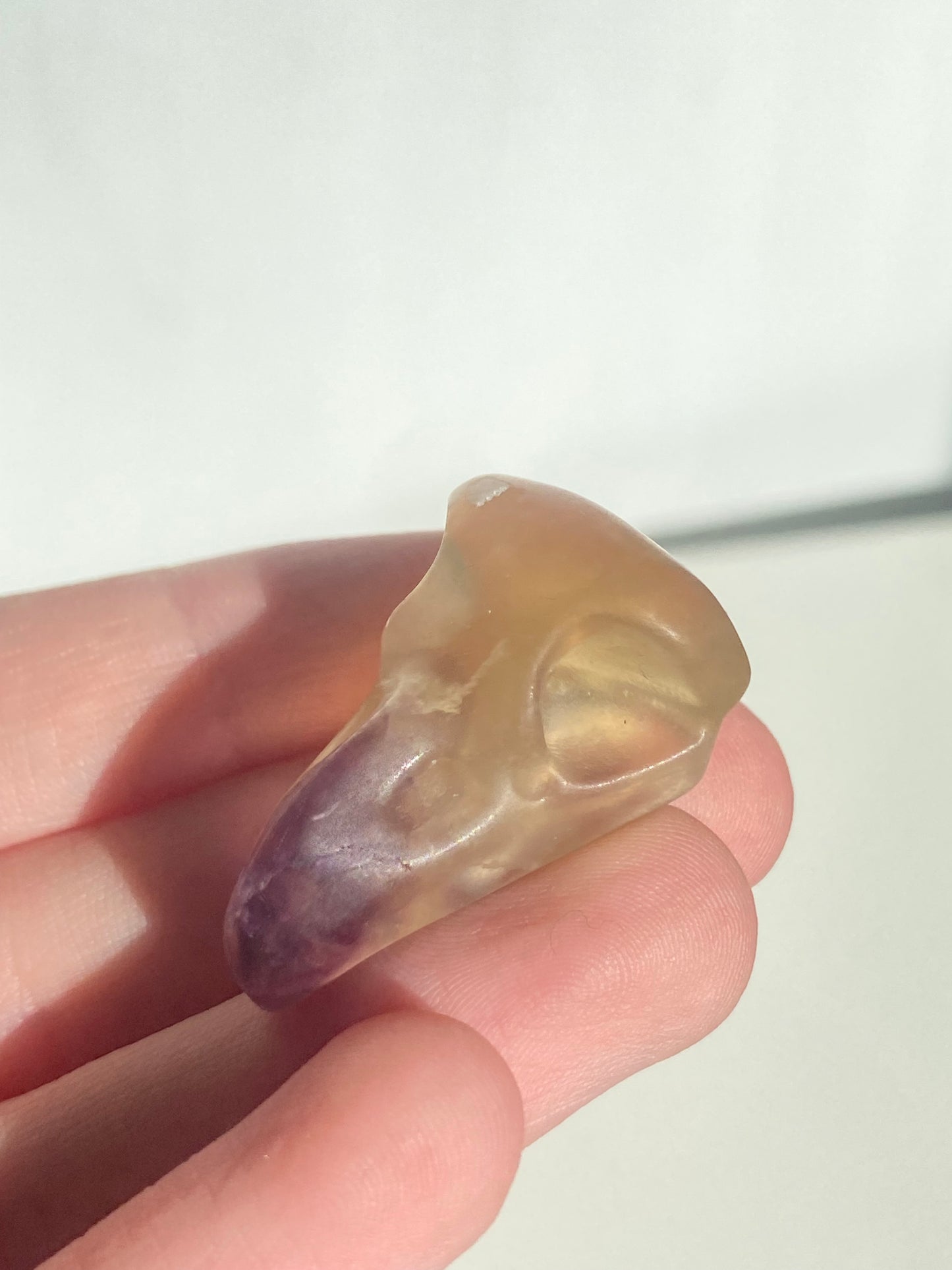 Mini Raven Skull