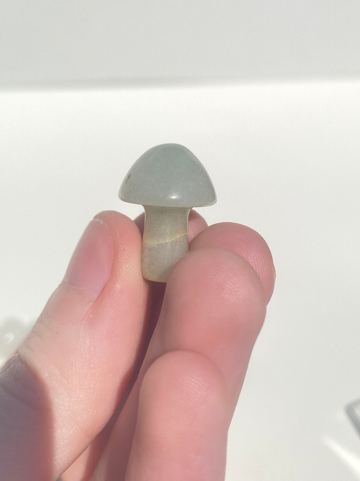 Mini Mushroom