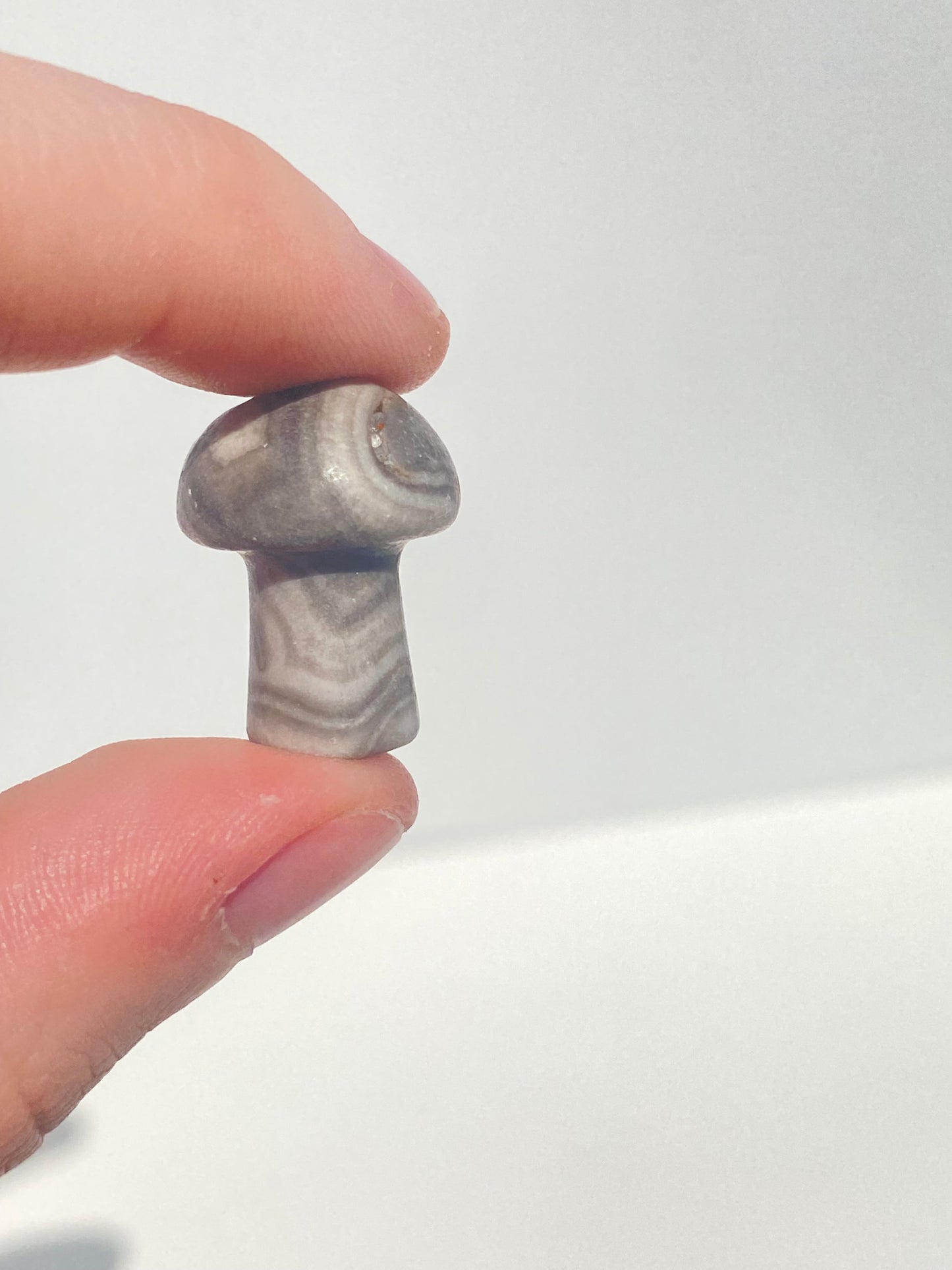 Mini Mushroom
