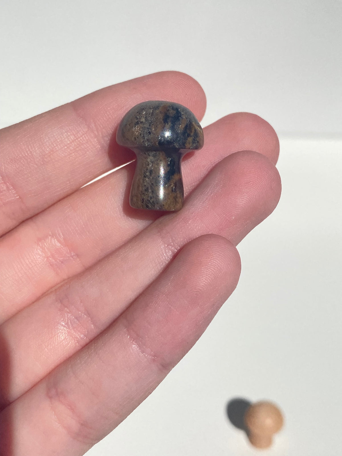 Mini Mushroom