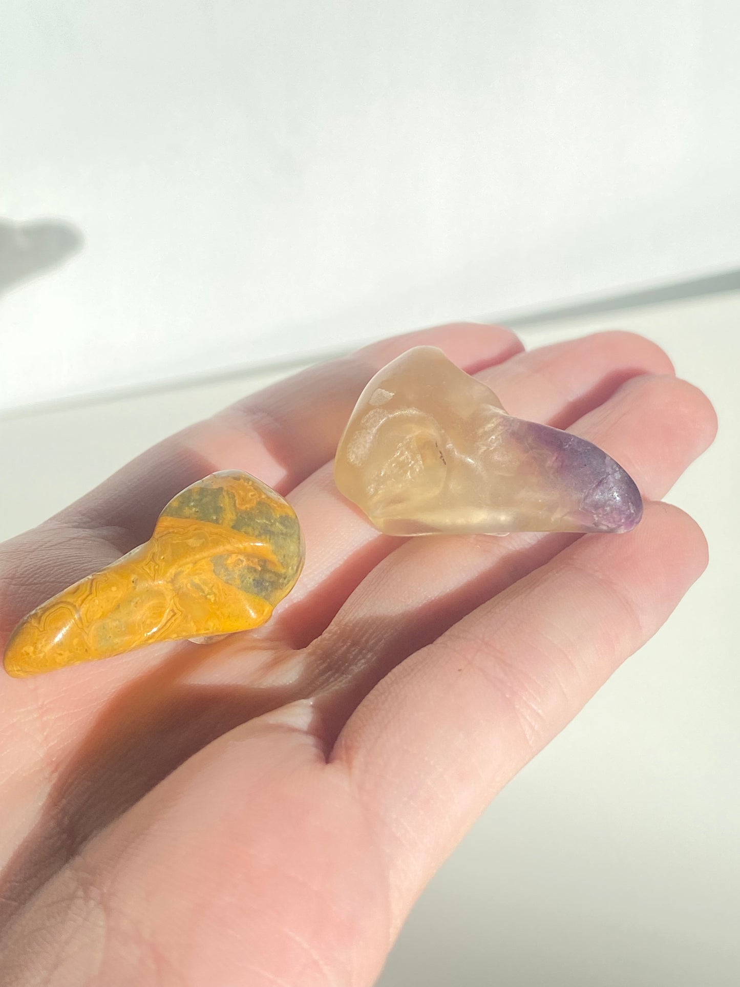 Mini Raven Skull