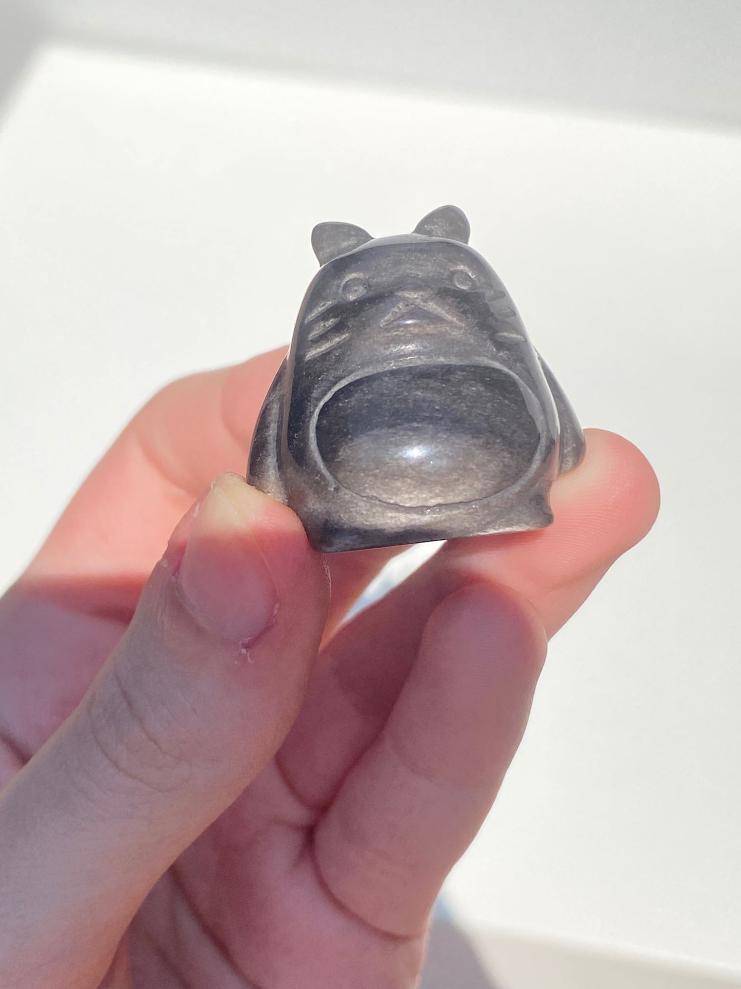 Silver Obsidian Toto