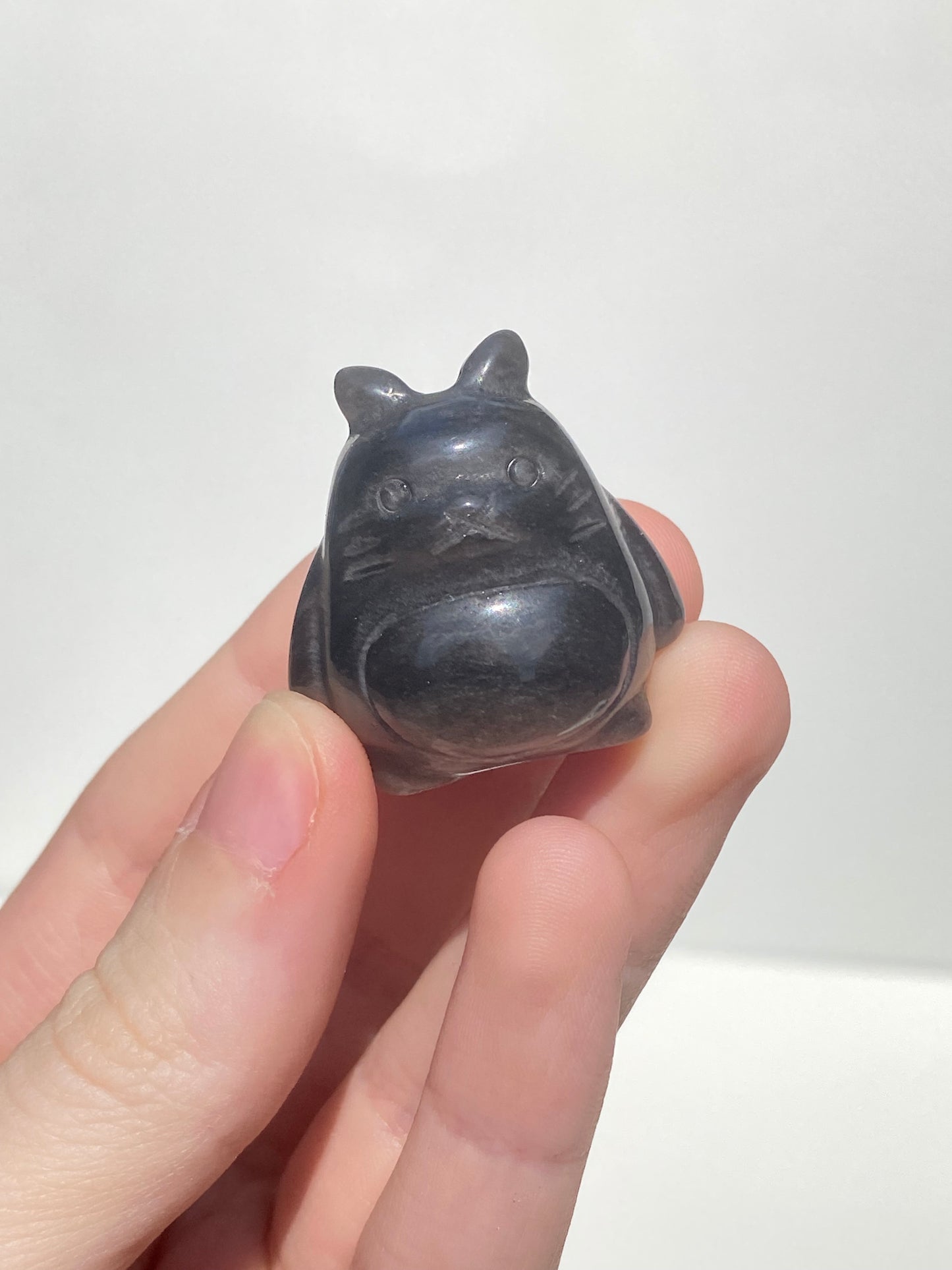 Silver Obsidian Toto