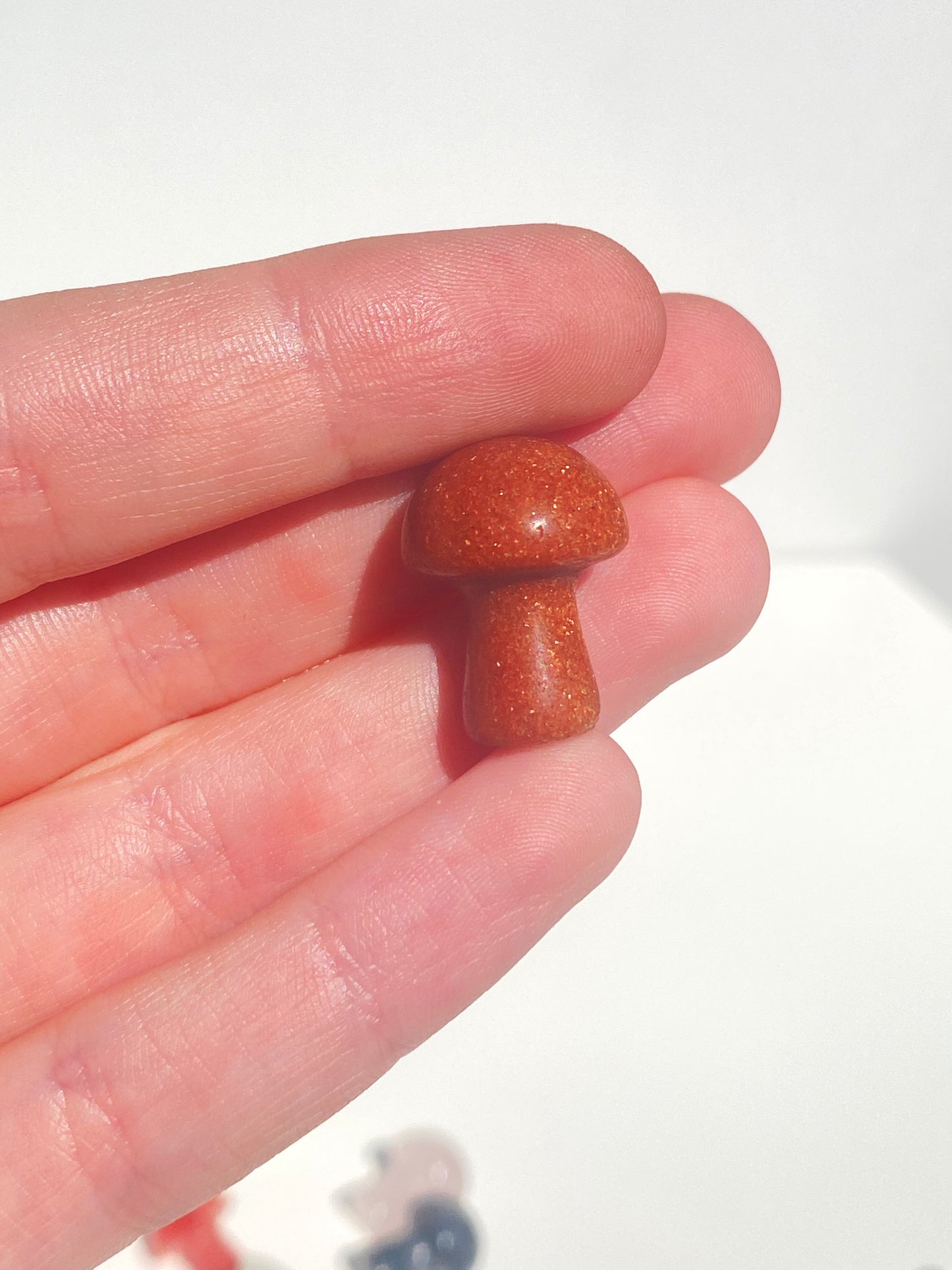 Mini Mushroom