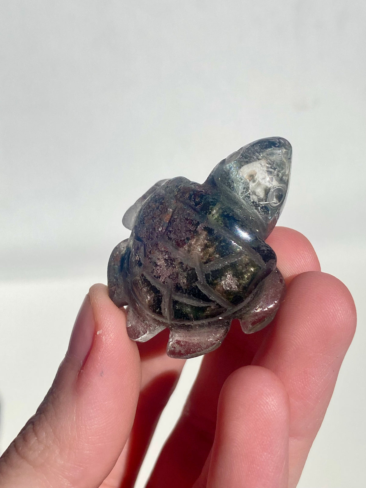 Garden Quartz Turtle Rare