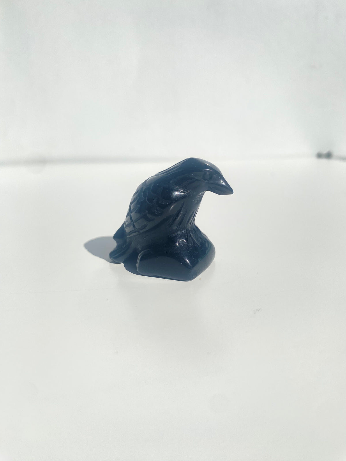Obsidian Raven