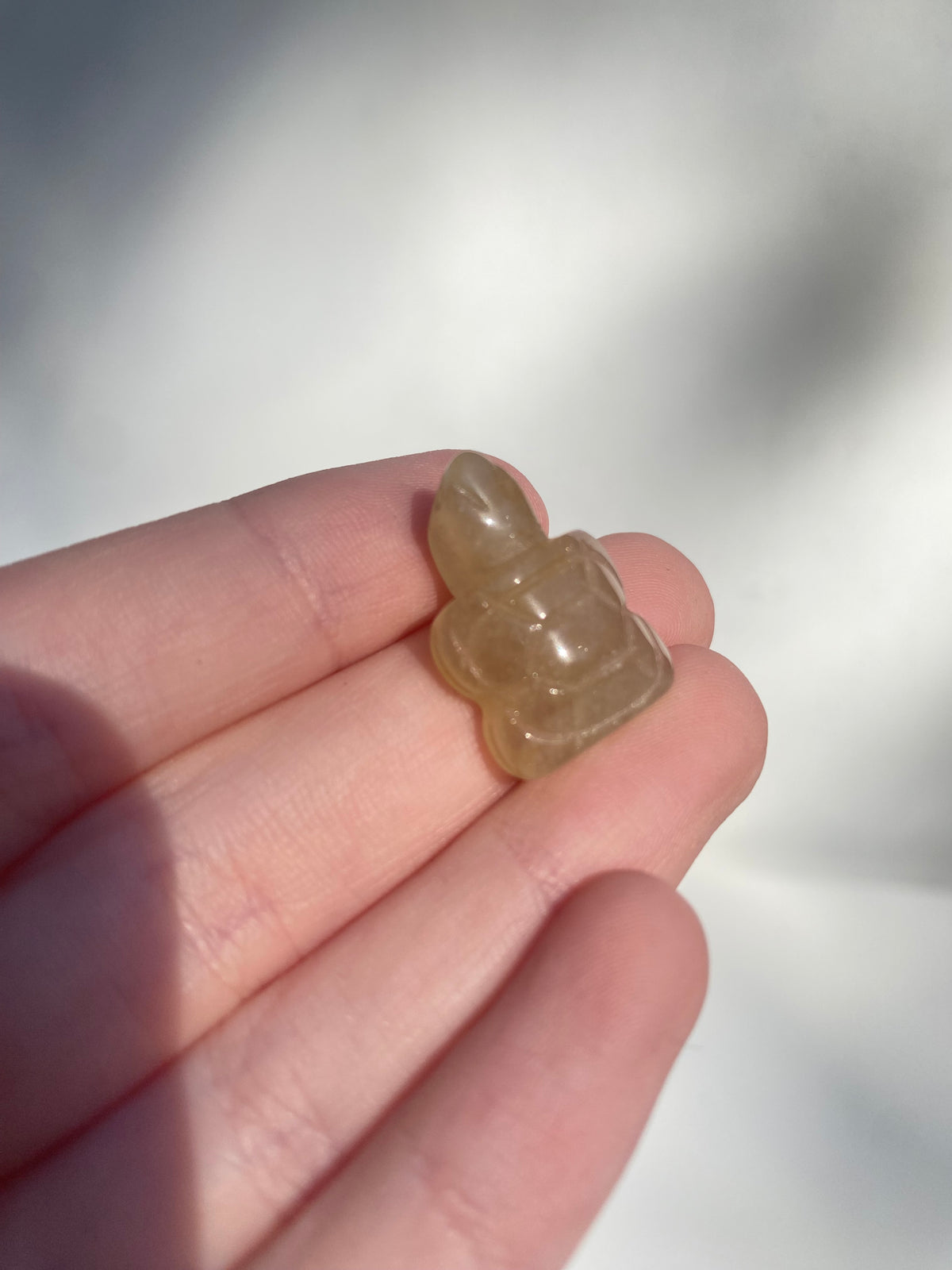 Mini Crystal Turtle