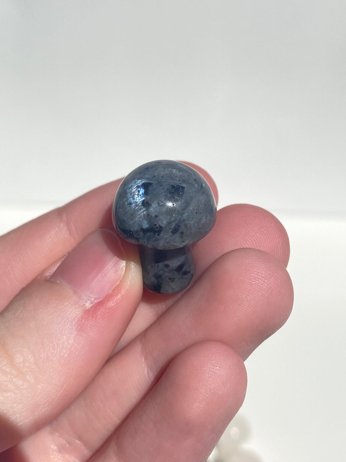 Mini Mushroom