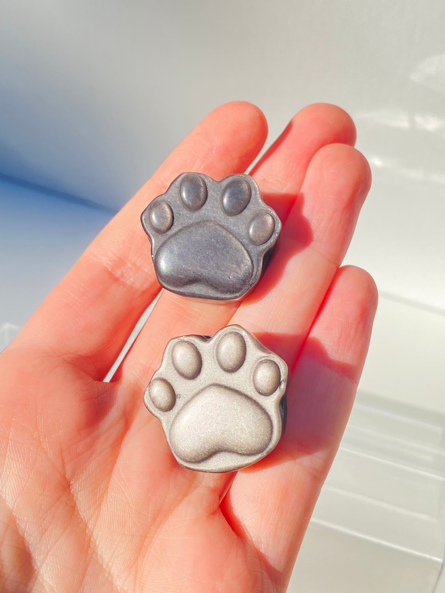 Silver Obsidian Paw