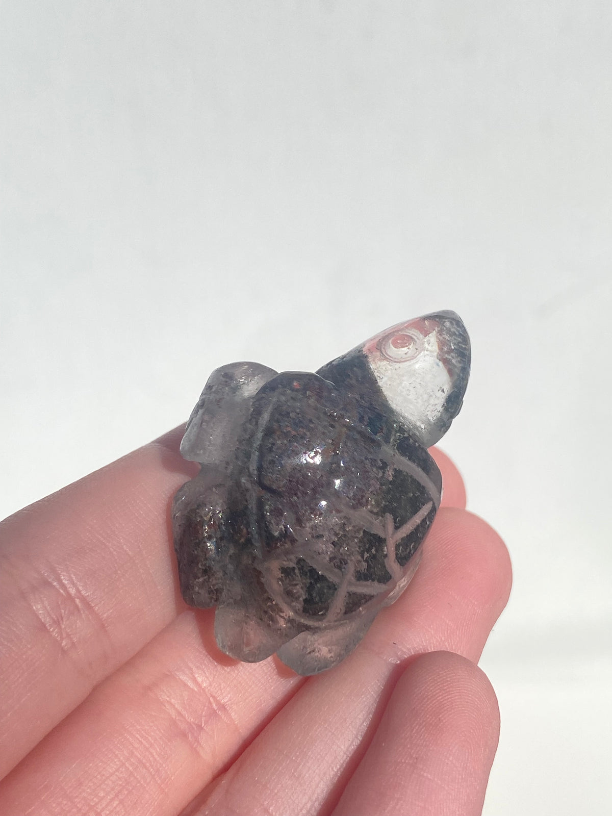 Garden Quartz Turtle Rare