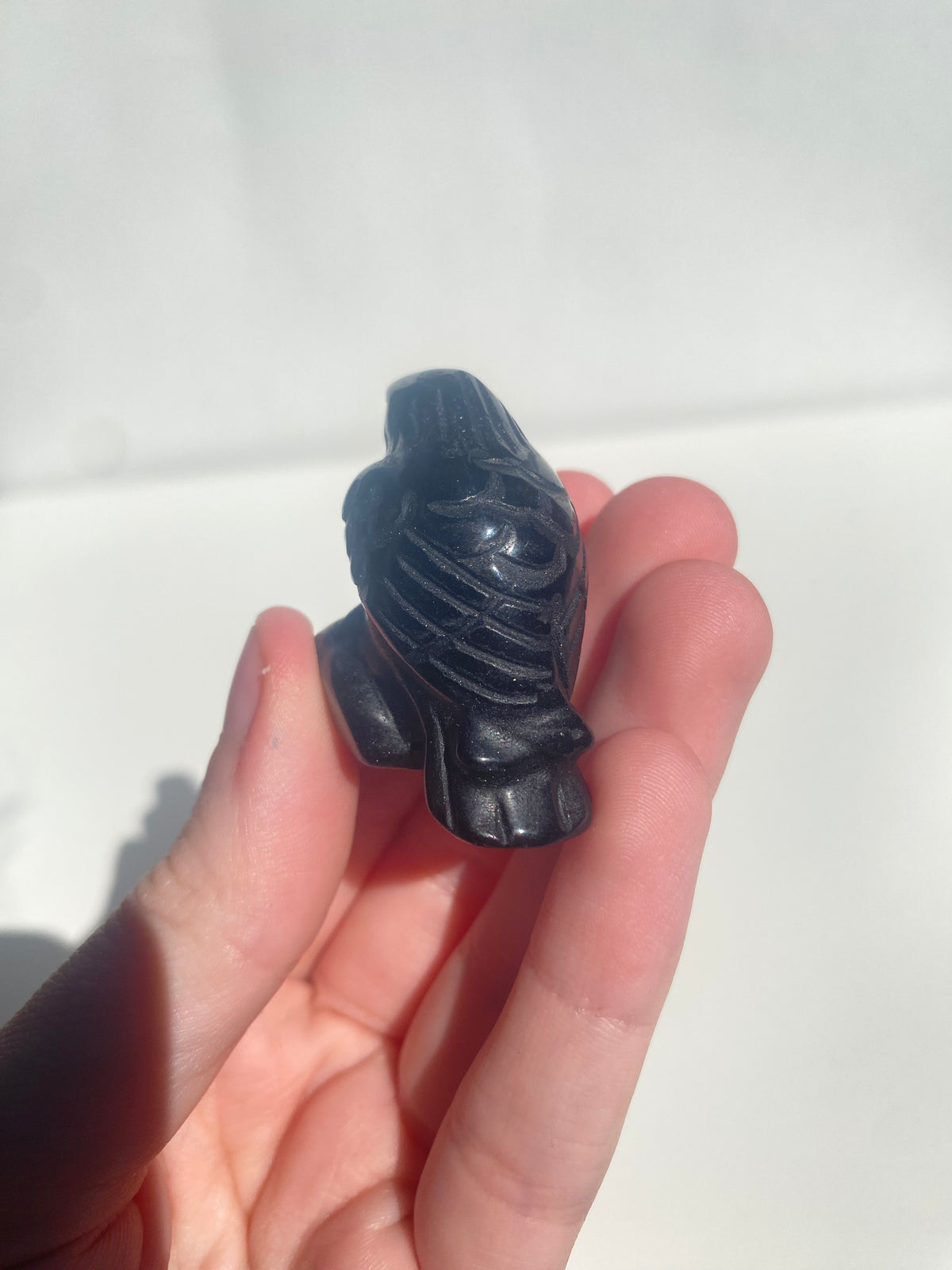 Obsidian Raven