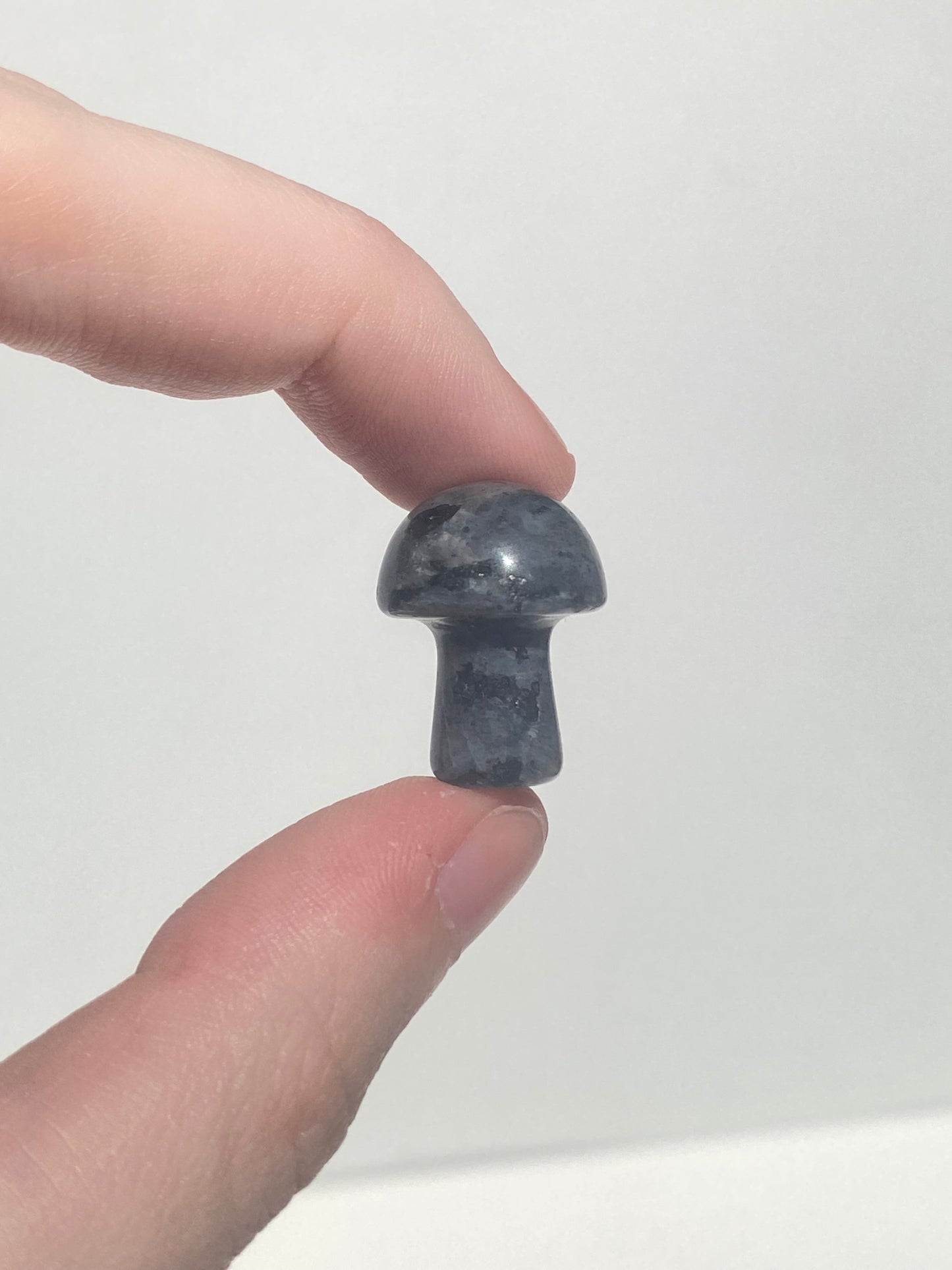 Mini Mushroom