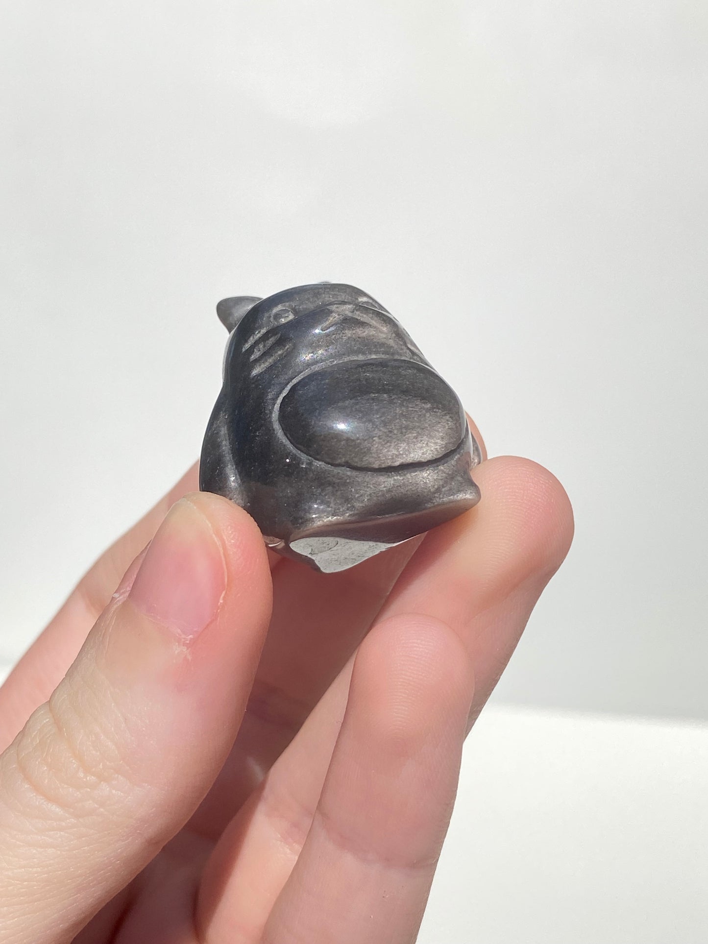 Silver Obsidian Toto