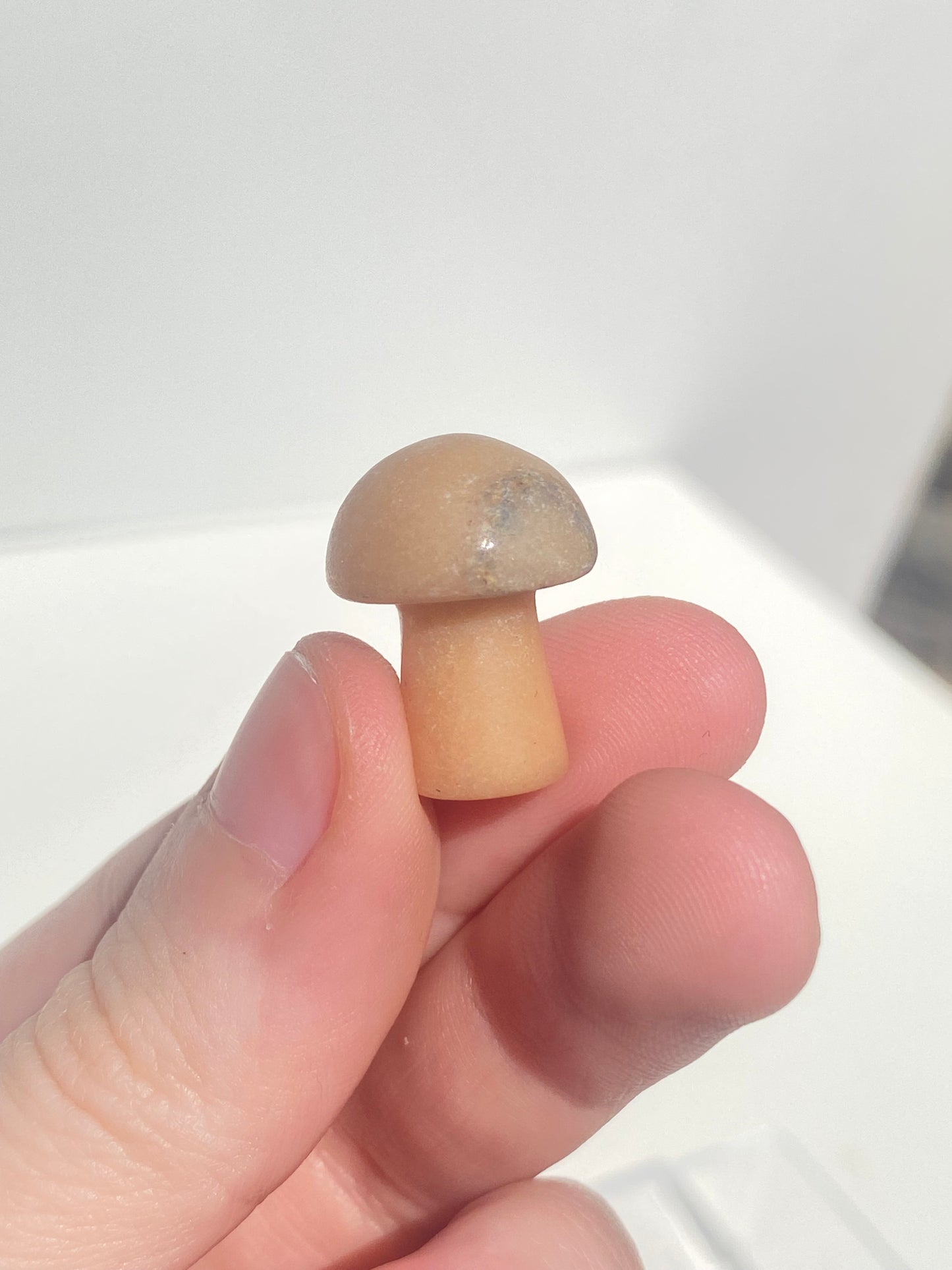 Mini Mushroom