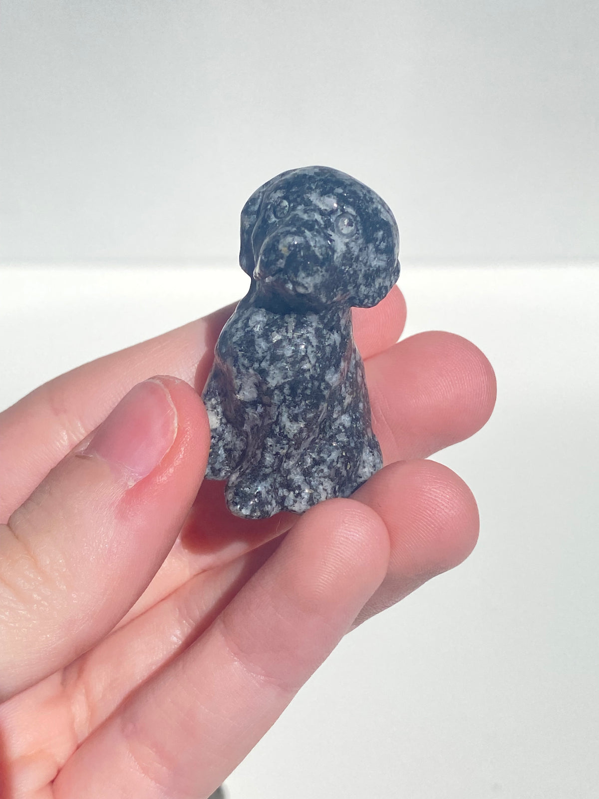 Crystal Dog