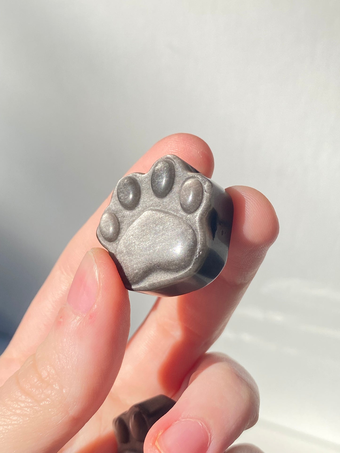 Silver Obsidian Paw