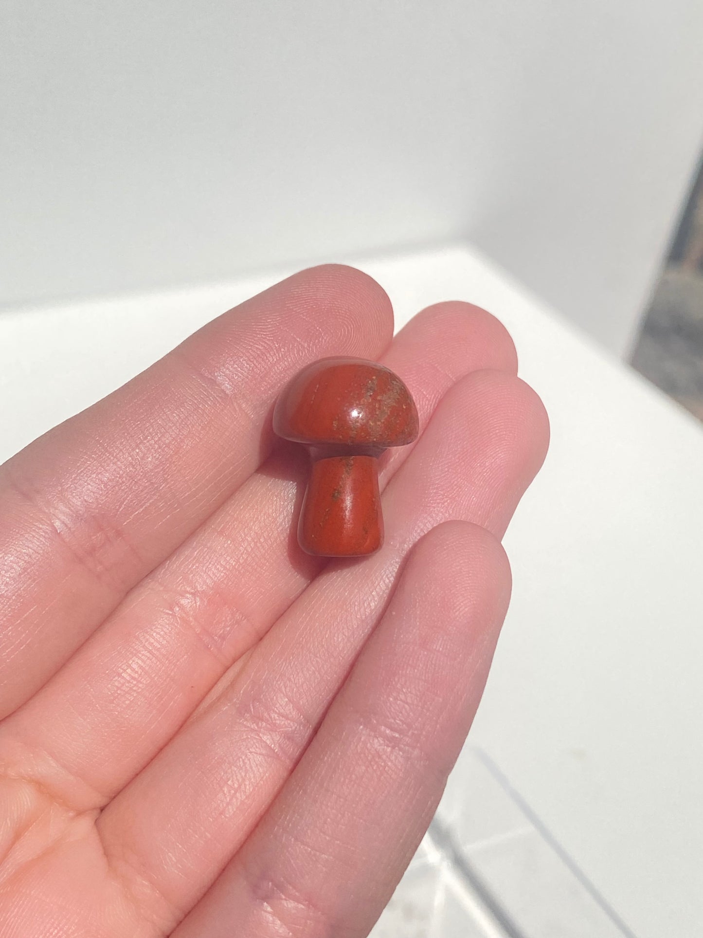 Mini Mushroom