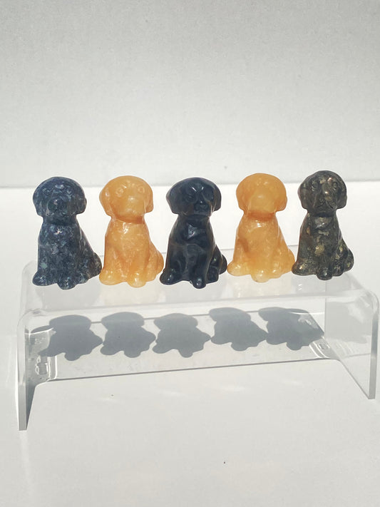 Crystal Dog