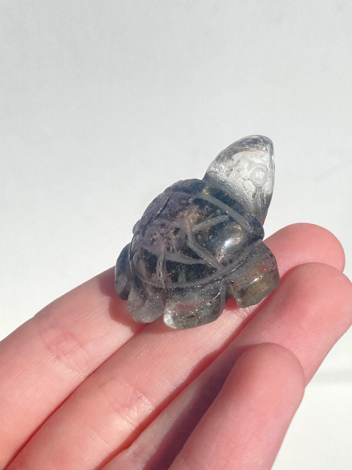 Garden Quartz Turtle Rare