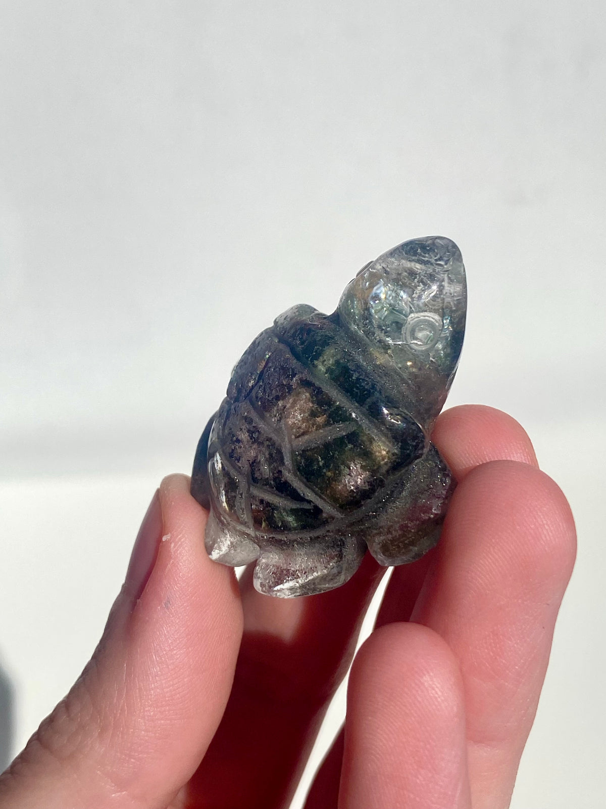 Garden Quartz Turtle Rare