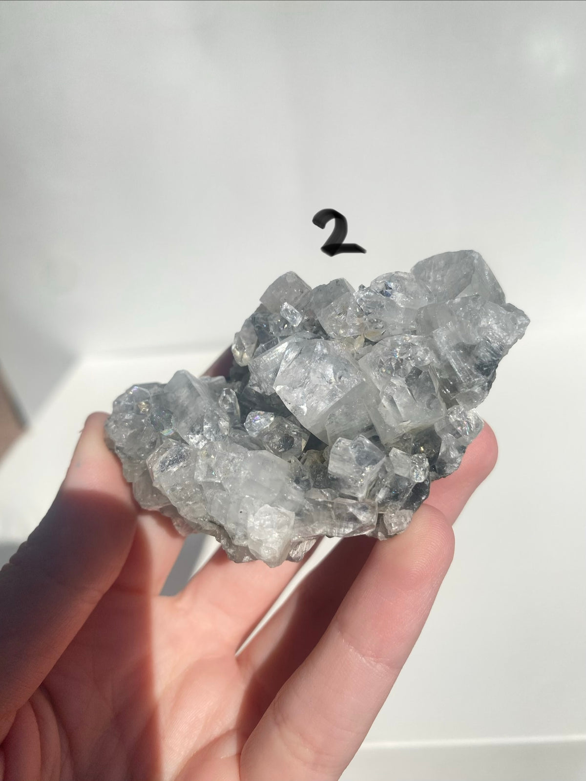 Apophyllite Cluster