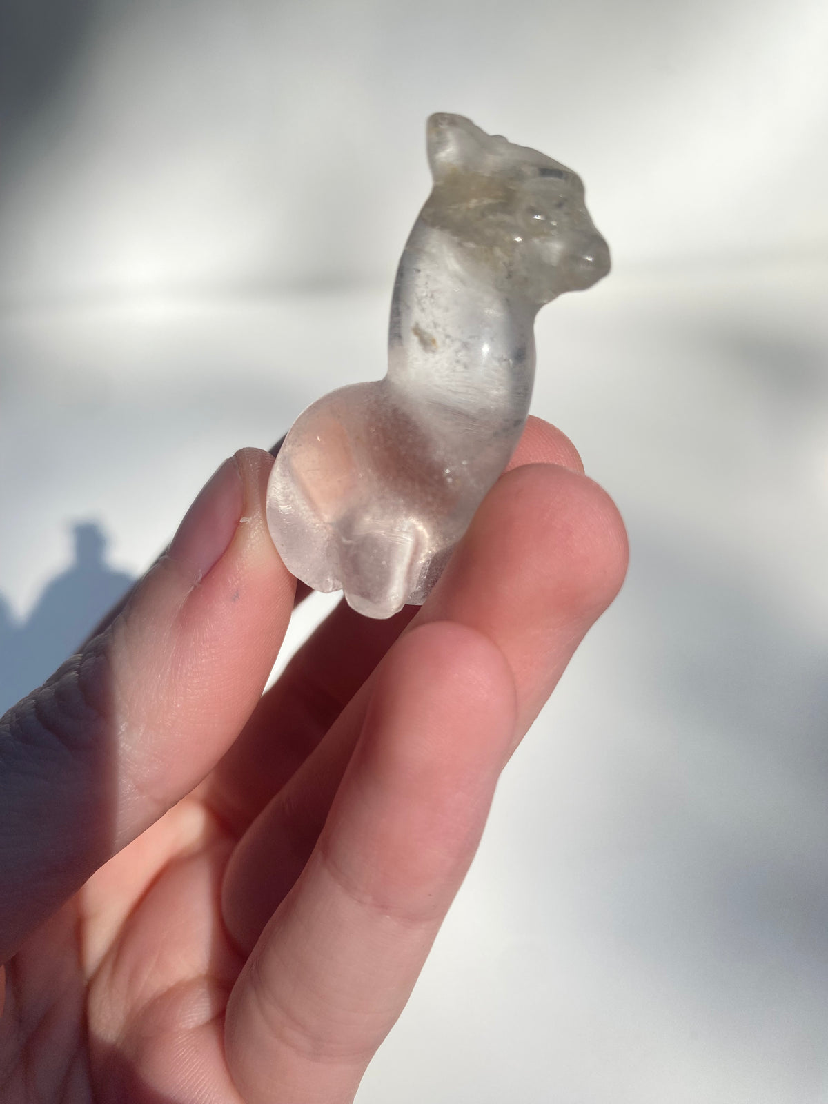 Mini Lama