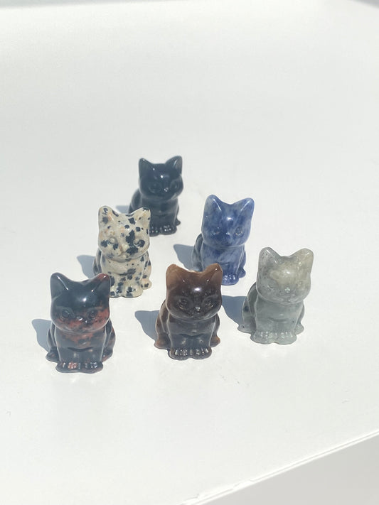 Micro Mini Cat